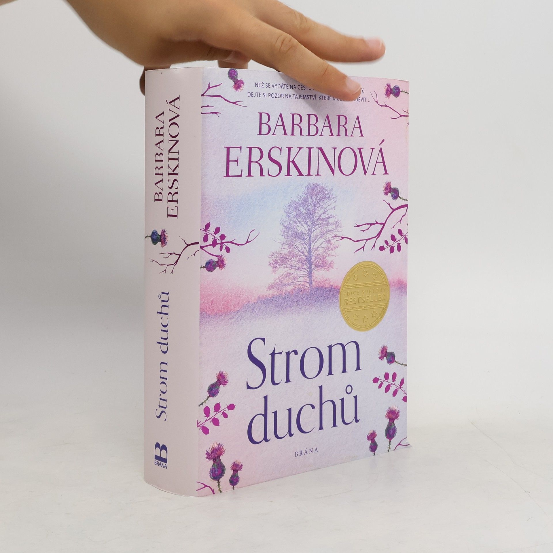 Barbara Erskine Strom duchů