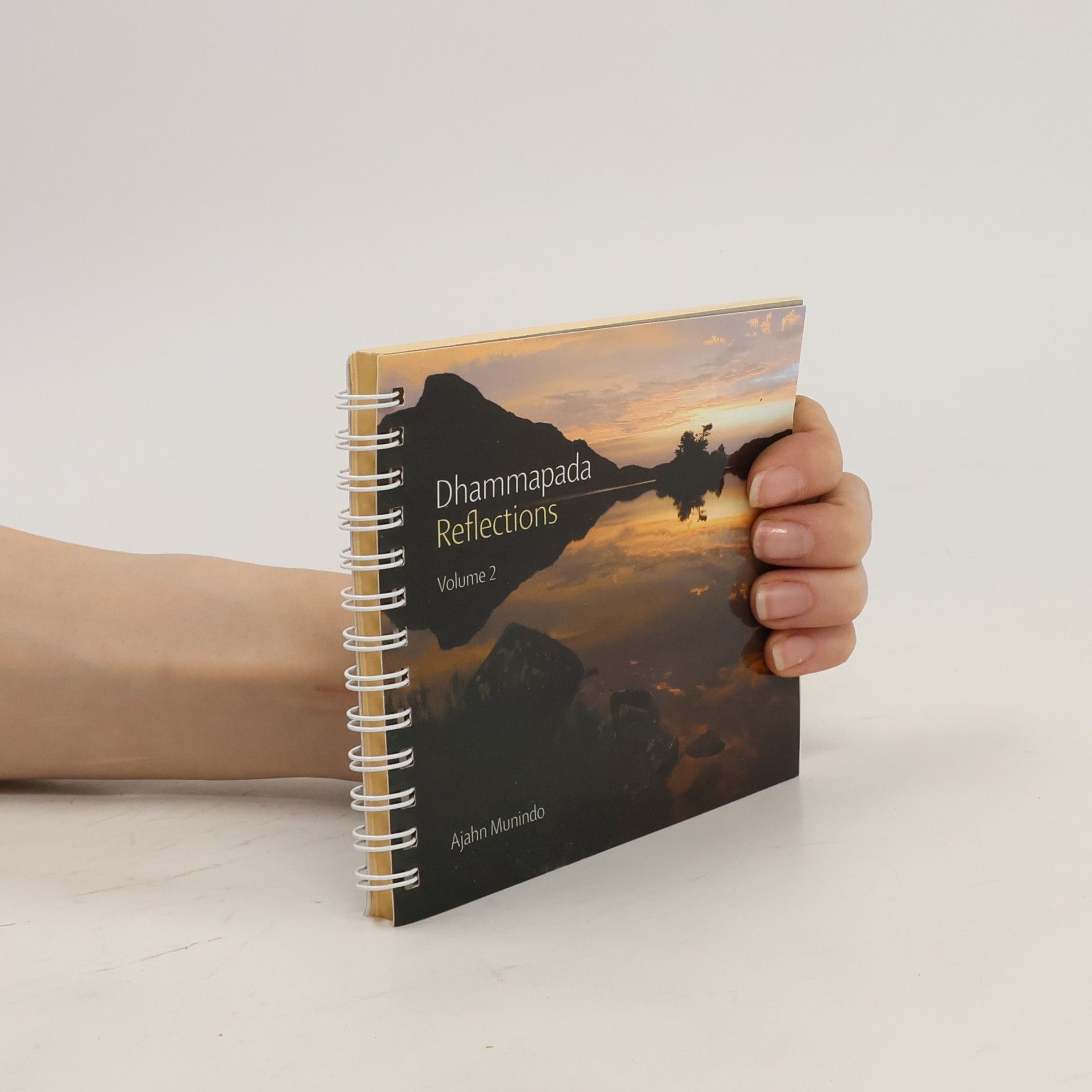 Ajahn Munindo Dhammapada Reflections. Volume 2