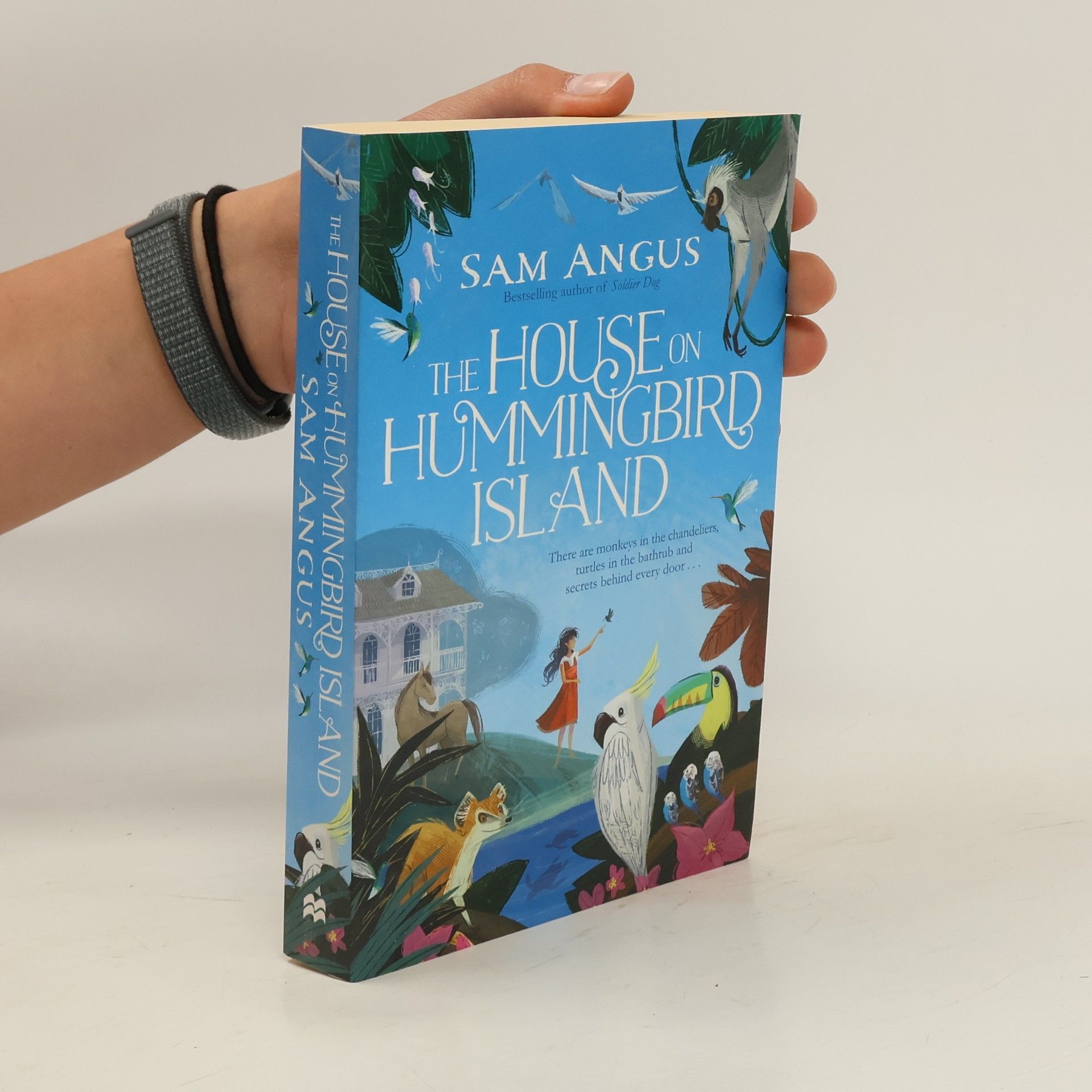 Sam Angus The House on Hummingbird Island