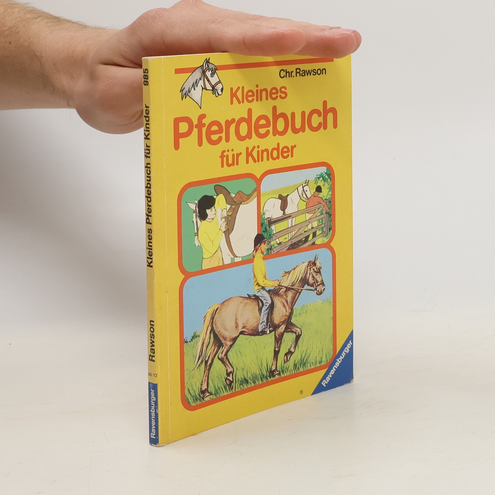 Christopher Rawson Kleines Pferdebuch für Kinder