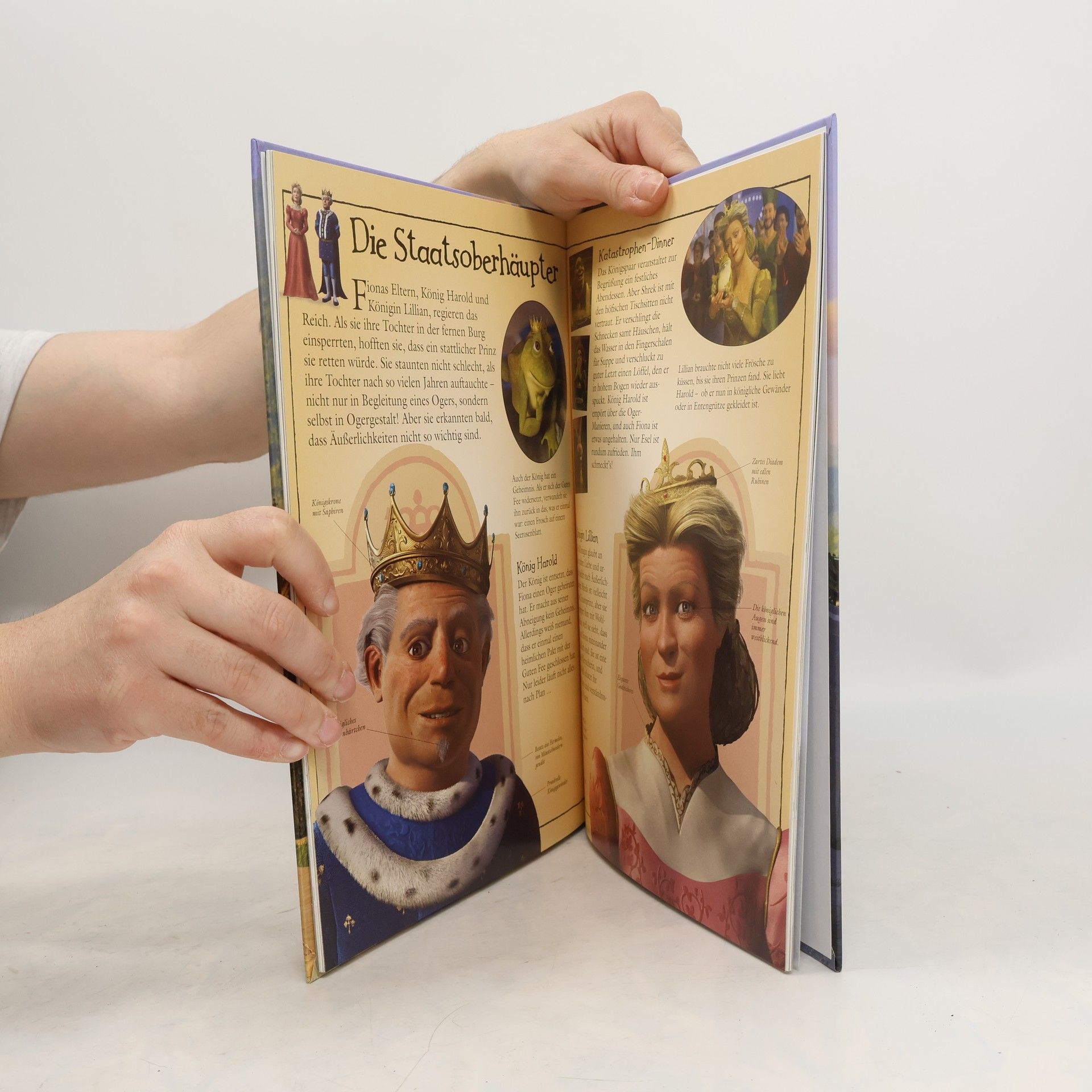 kolektiv Shrek - das große Fan-Buch