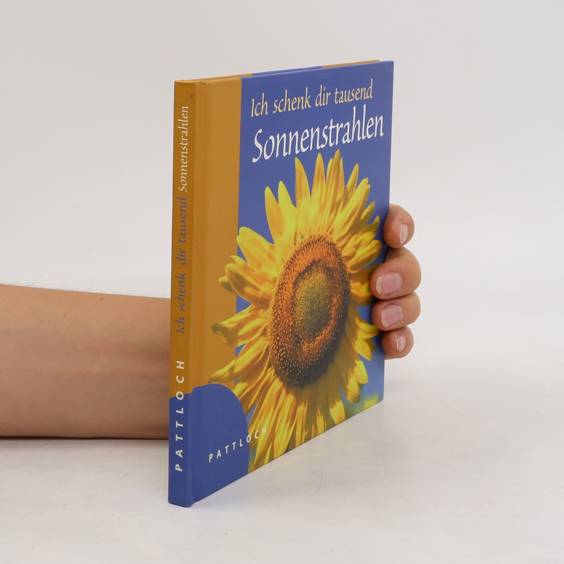 Inka Heinemann Ich schenk dir tausend Sonnenstrahlen
