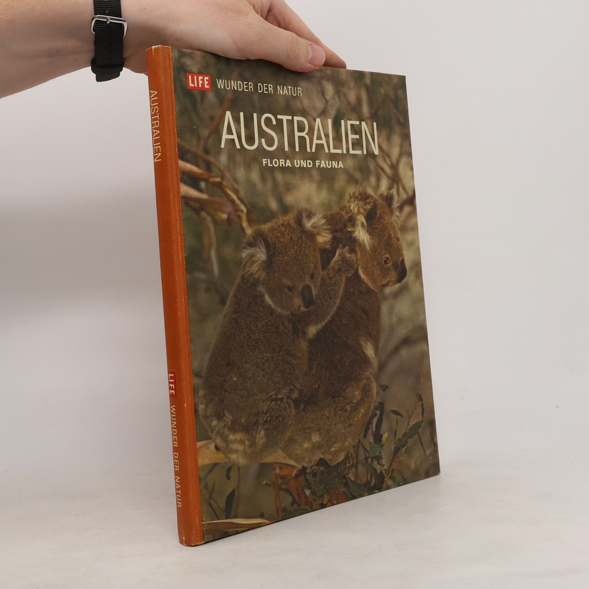 kolektiv Australien: Flora und Fauna