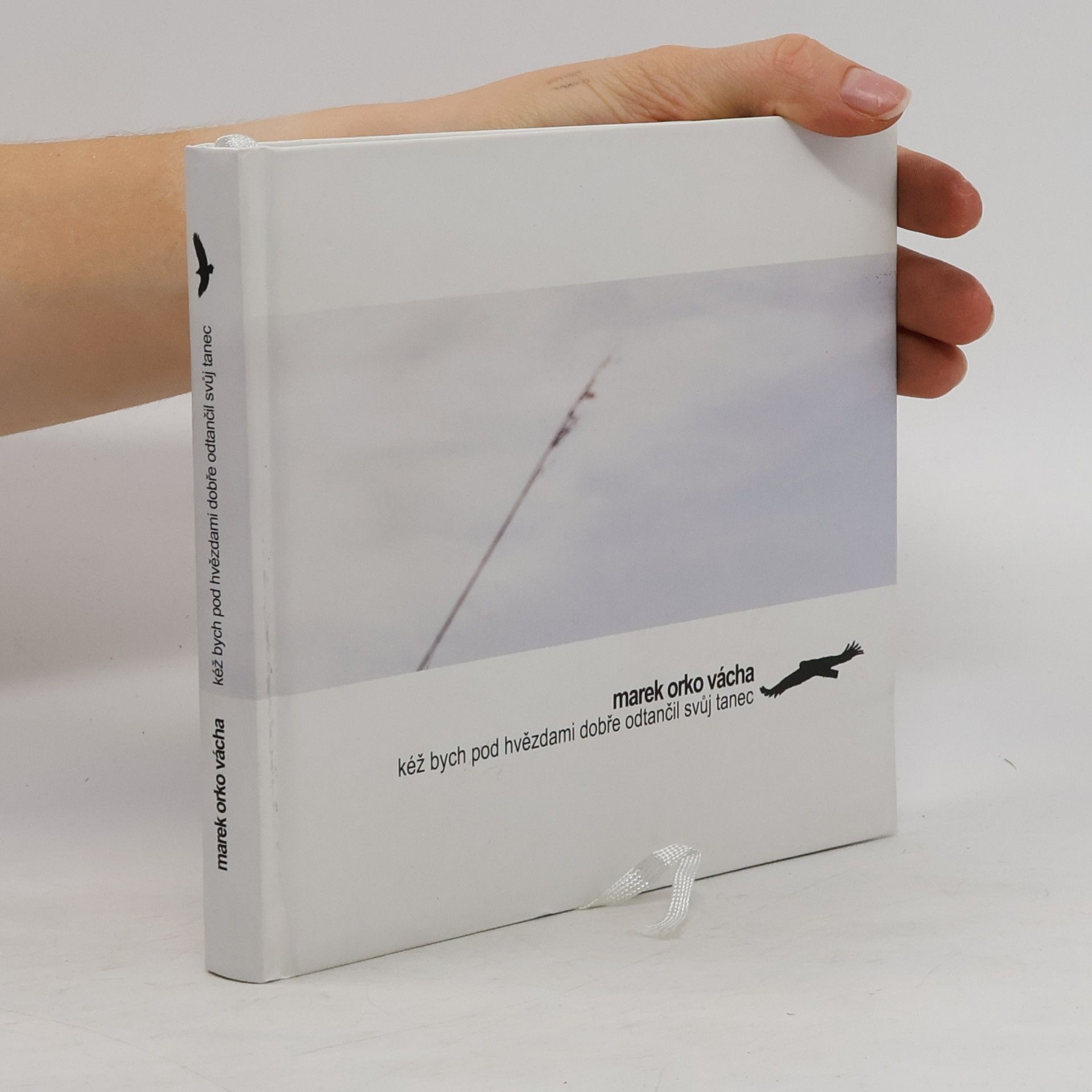 Marek Orko Vácha Kéž bych pod hvězdami dobře odtančil svůj tanec