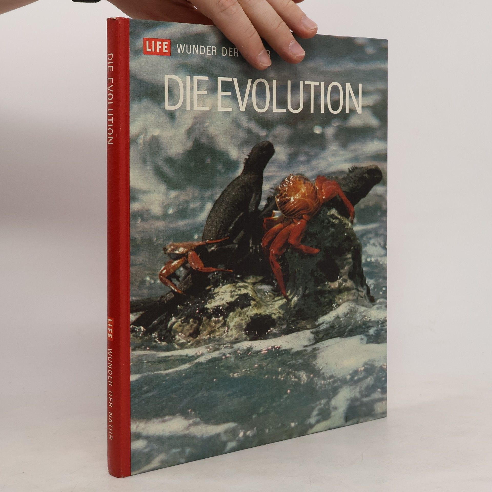 Ruth Moore Life Wunder der Natur. Die Evolution