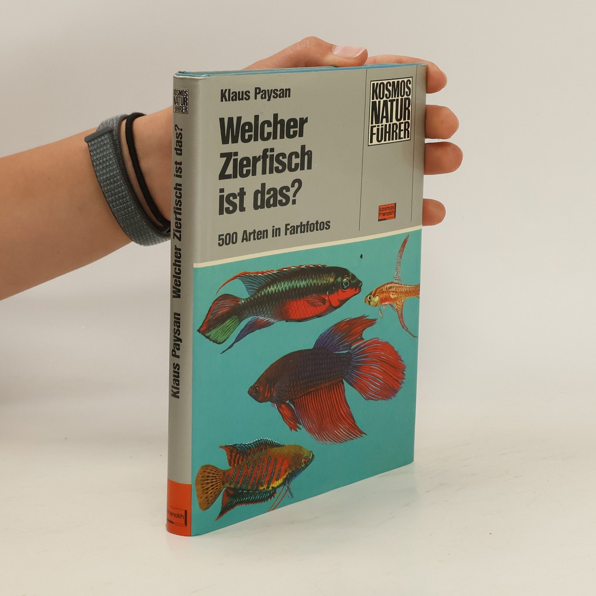 Klaus Paysan Welcher Zierfisch ist das?