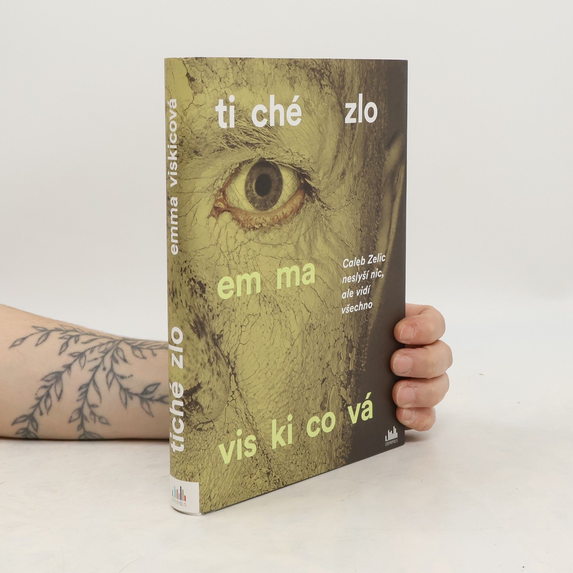 Emma Viskic Tiché zlo