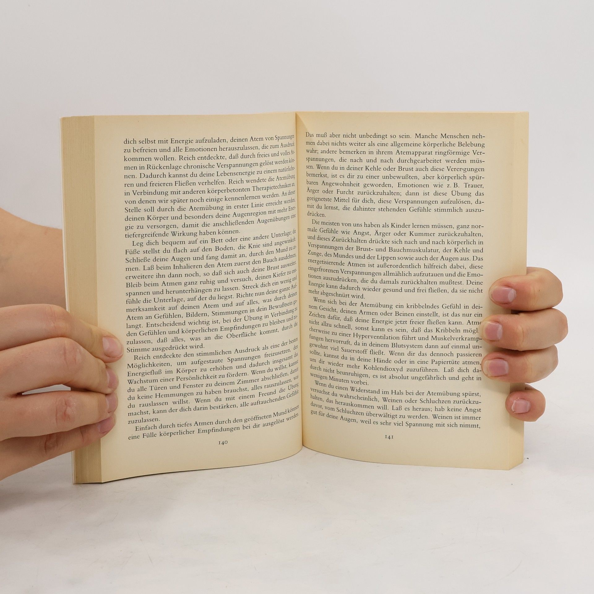 Lisette Scholl Das Augenübungsbuch