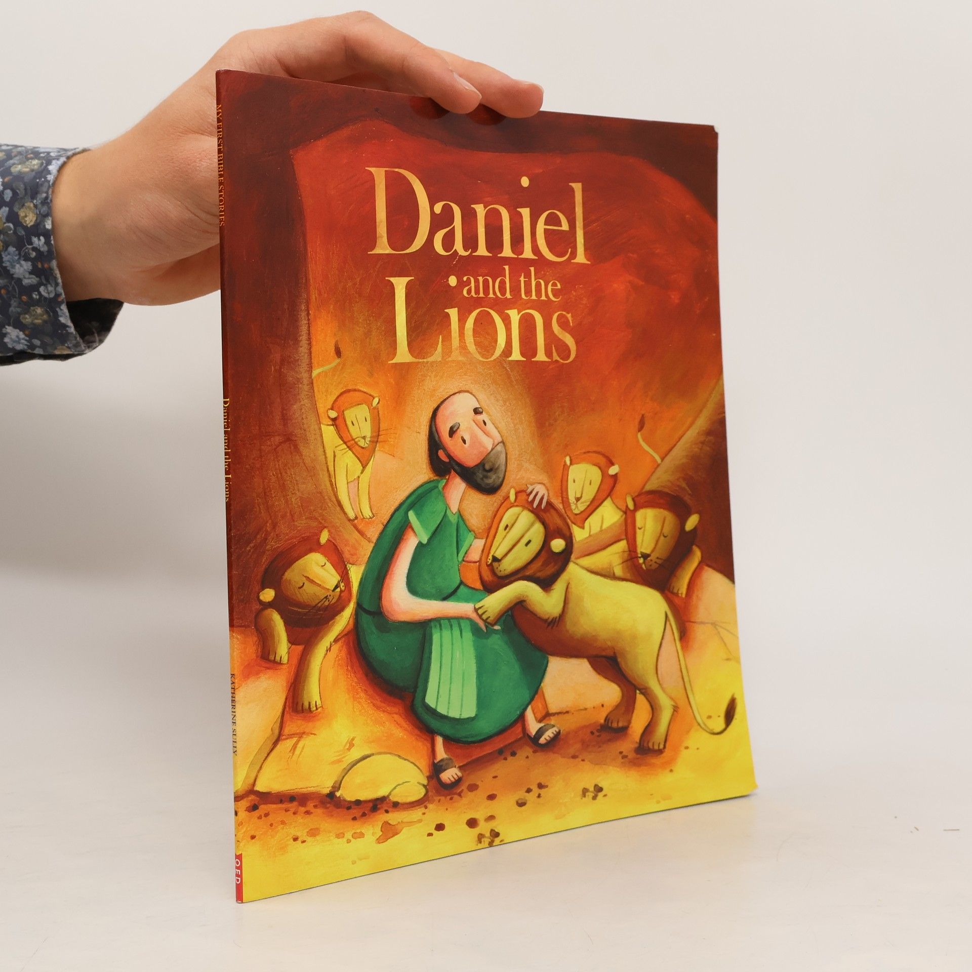 Kolektiv autorů Daniel and the Lions