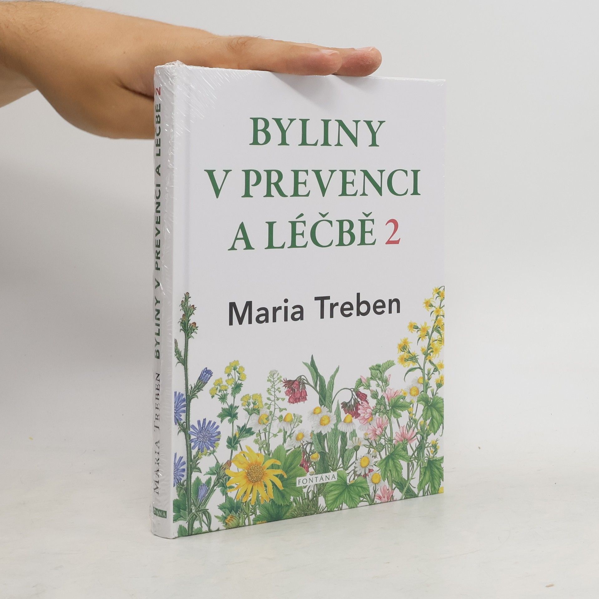 Maria Treben Byliny v prevenci a léčbě. 2, Žaludeční a střevní problémy