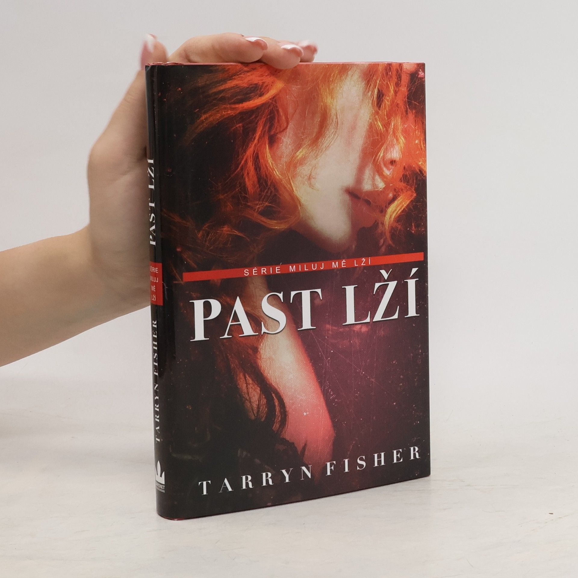Tarryn Fisher Past lží