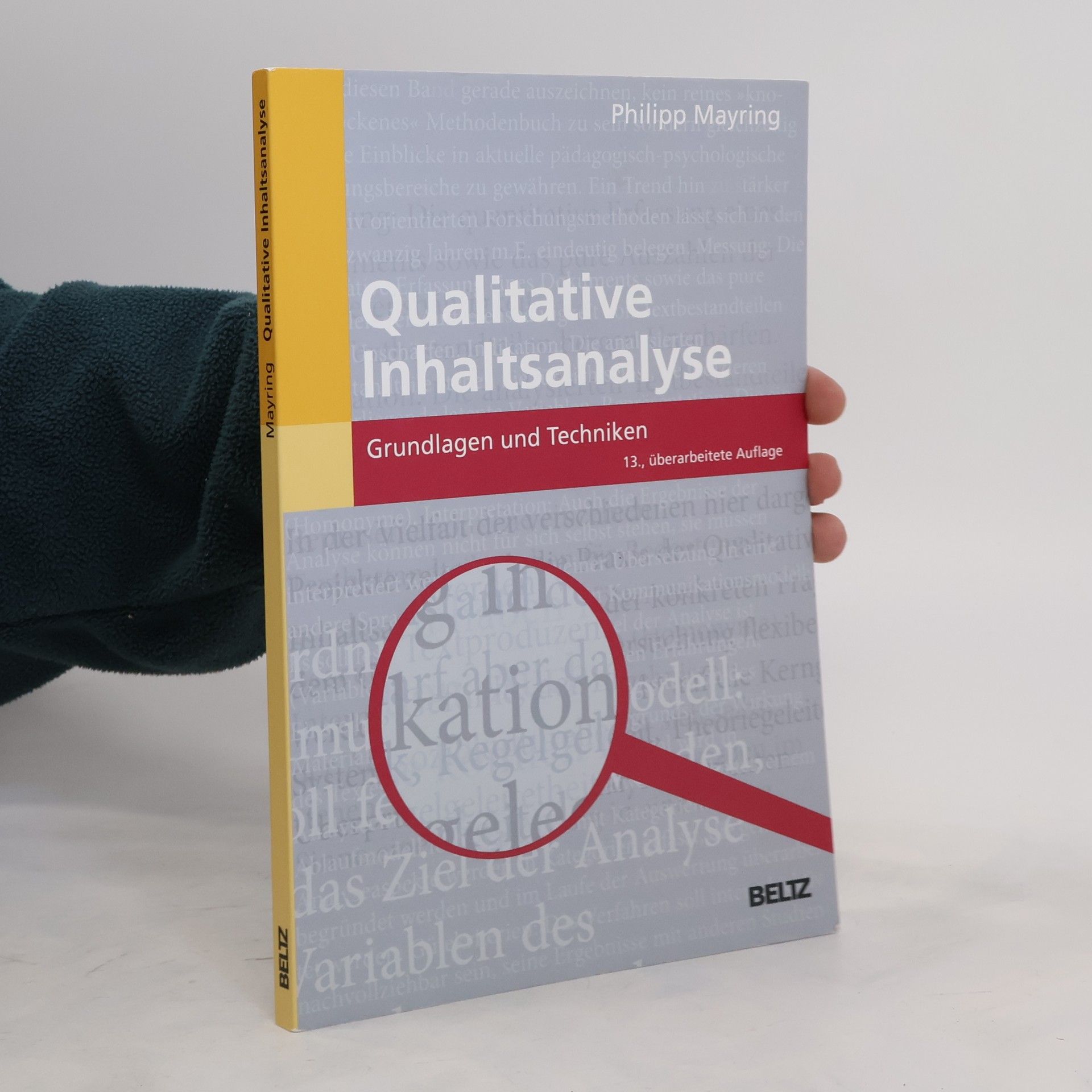 Philipp Mayring Qualitative Inhaltsanalyse