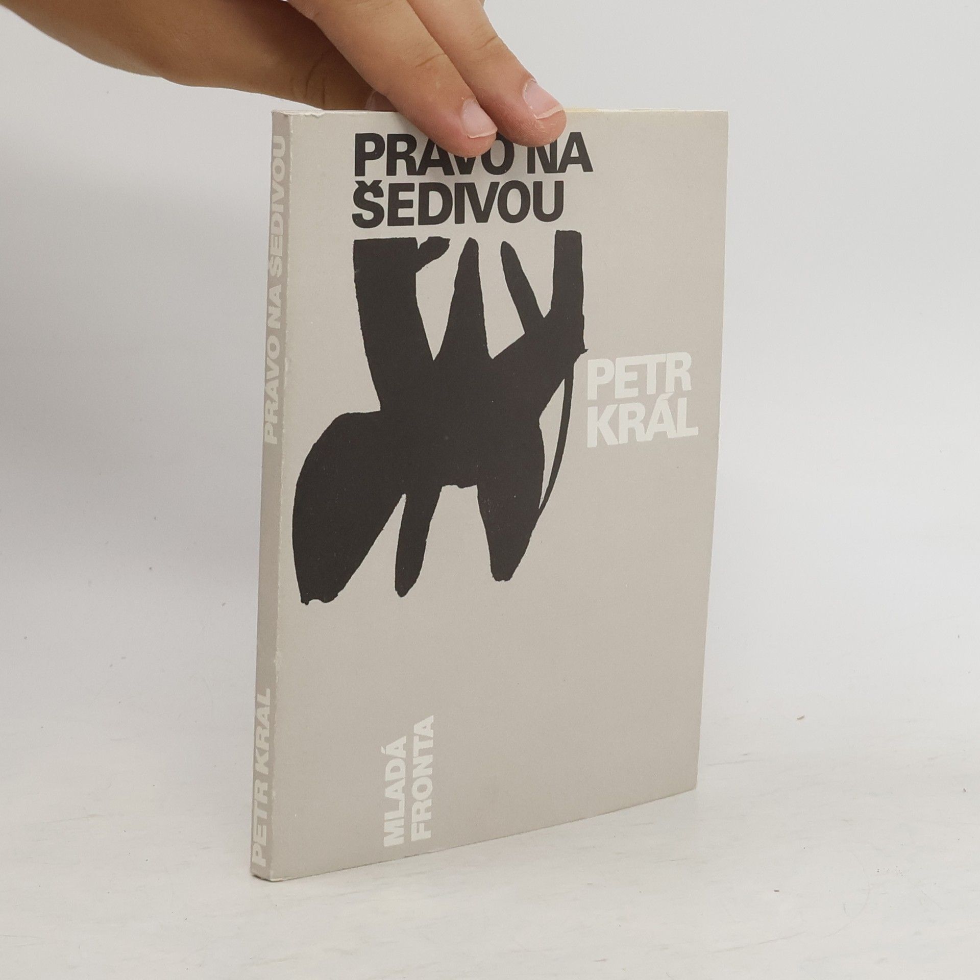 Petr Král Právo na šedivou
