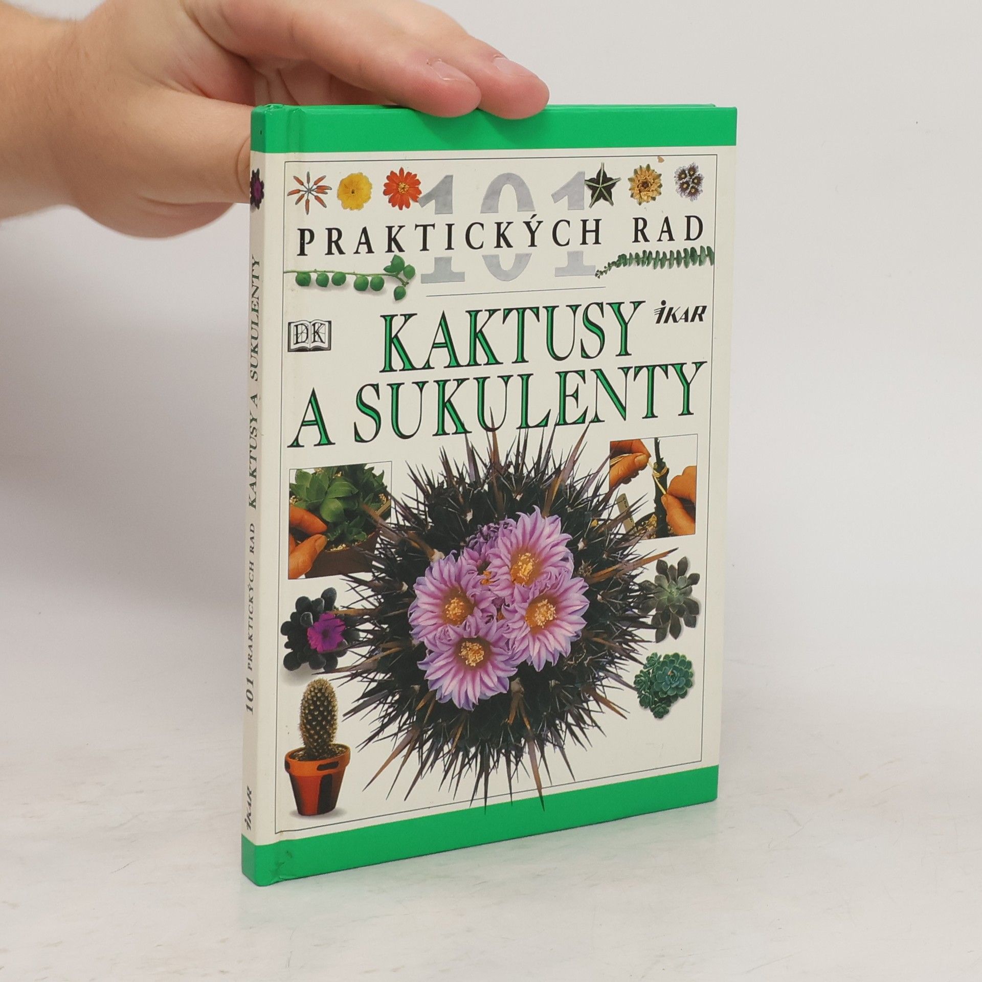 Hewitt Terry Kaktusy a sukulenty