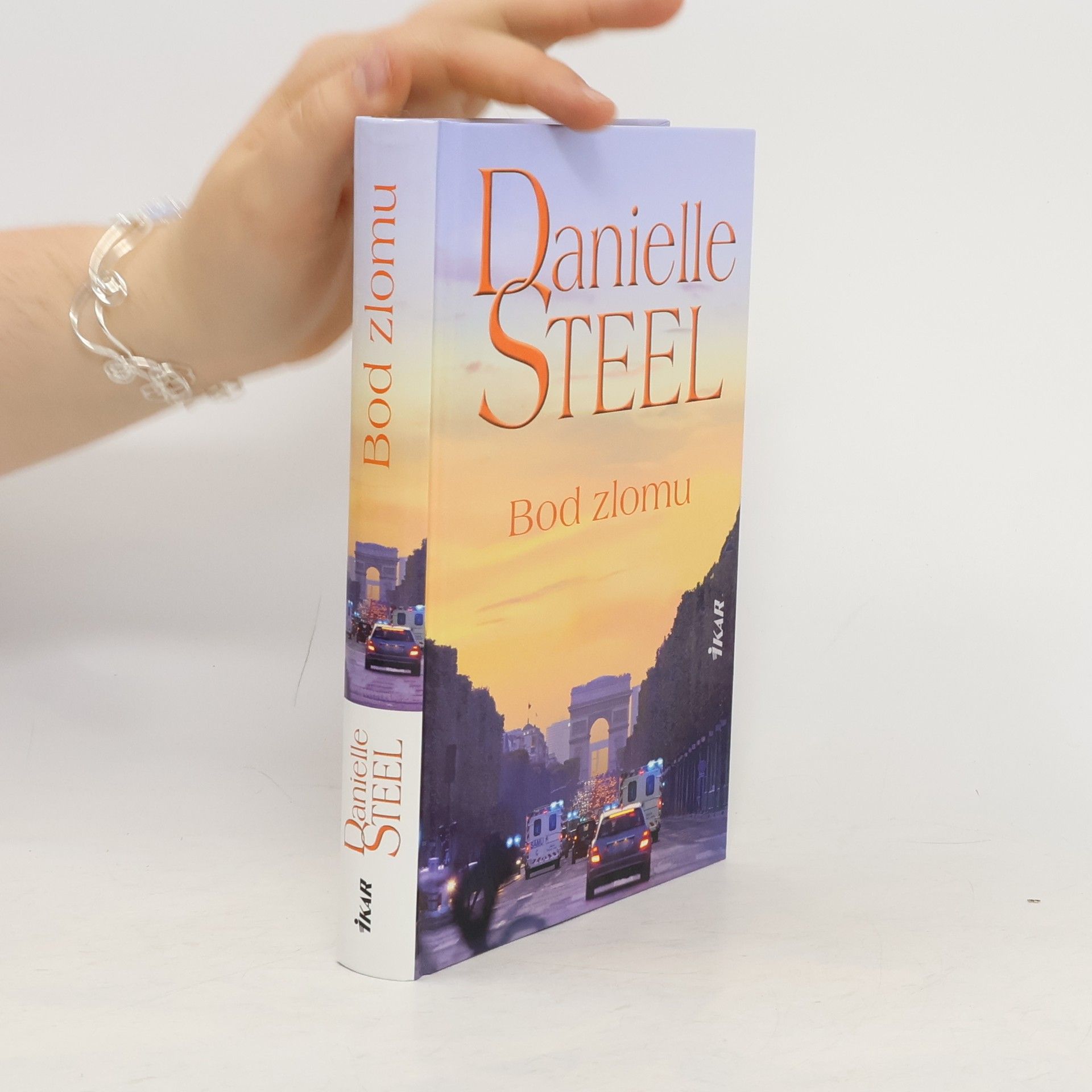 Danielle Steelová Bod zlomu