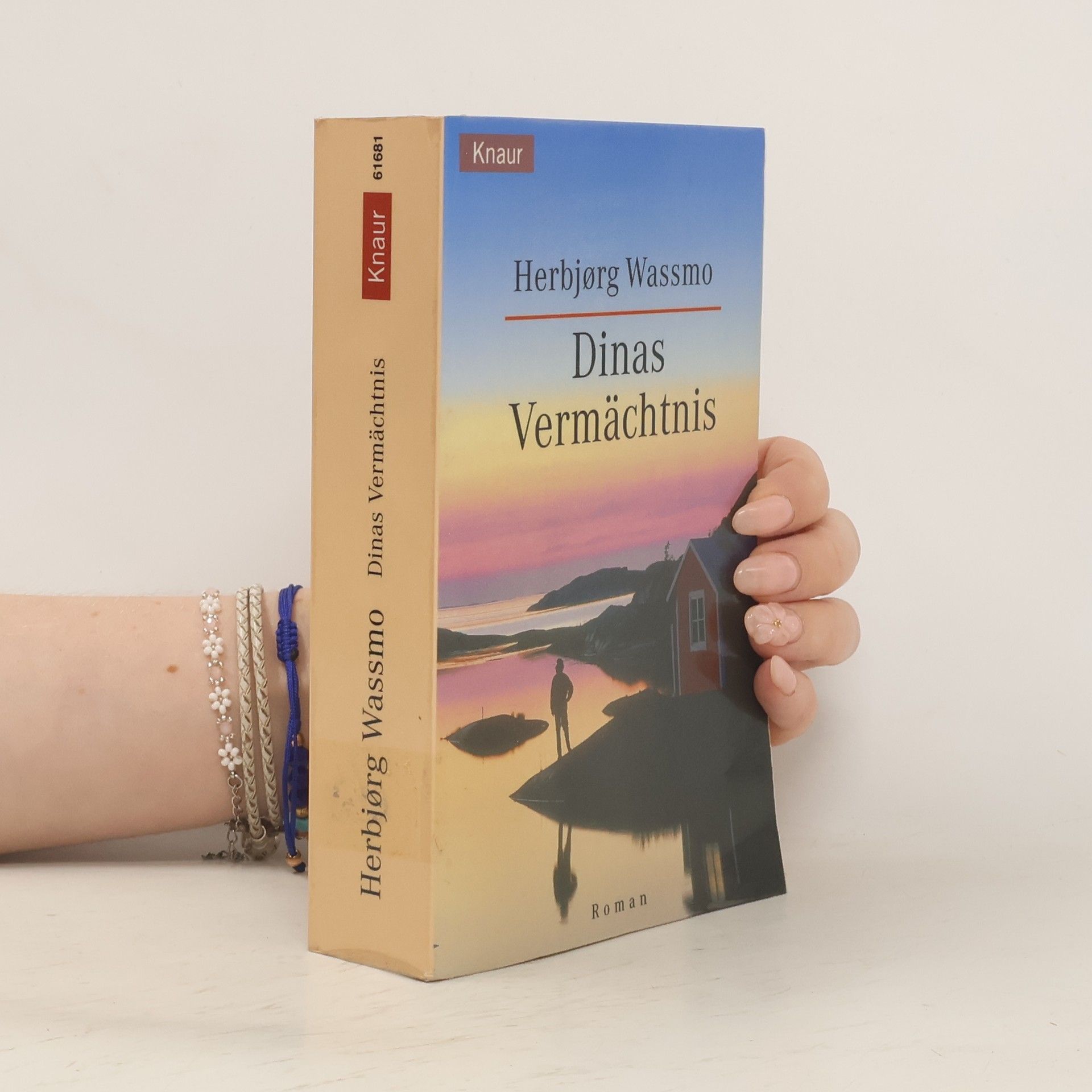 Herbjørg Wassmo Dinas Vermächtnis