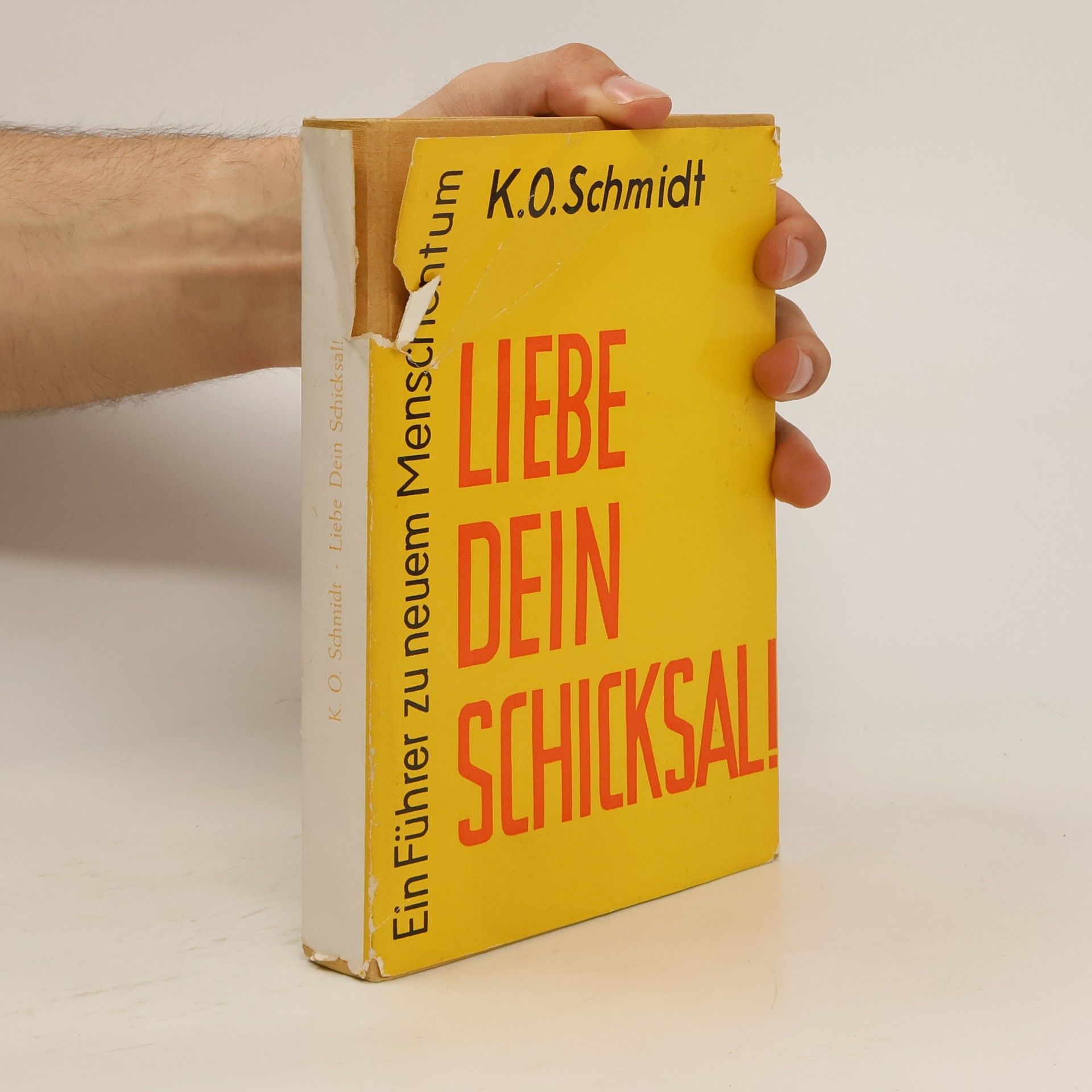 K. O. Schmidt Liebe dein schicksal!