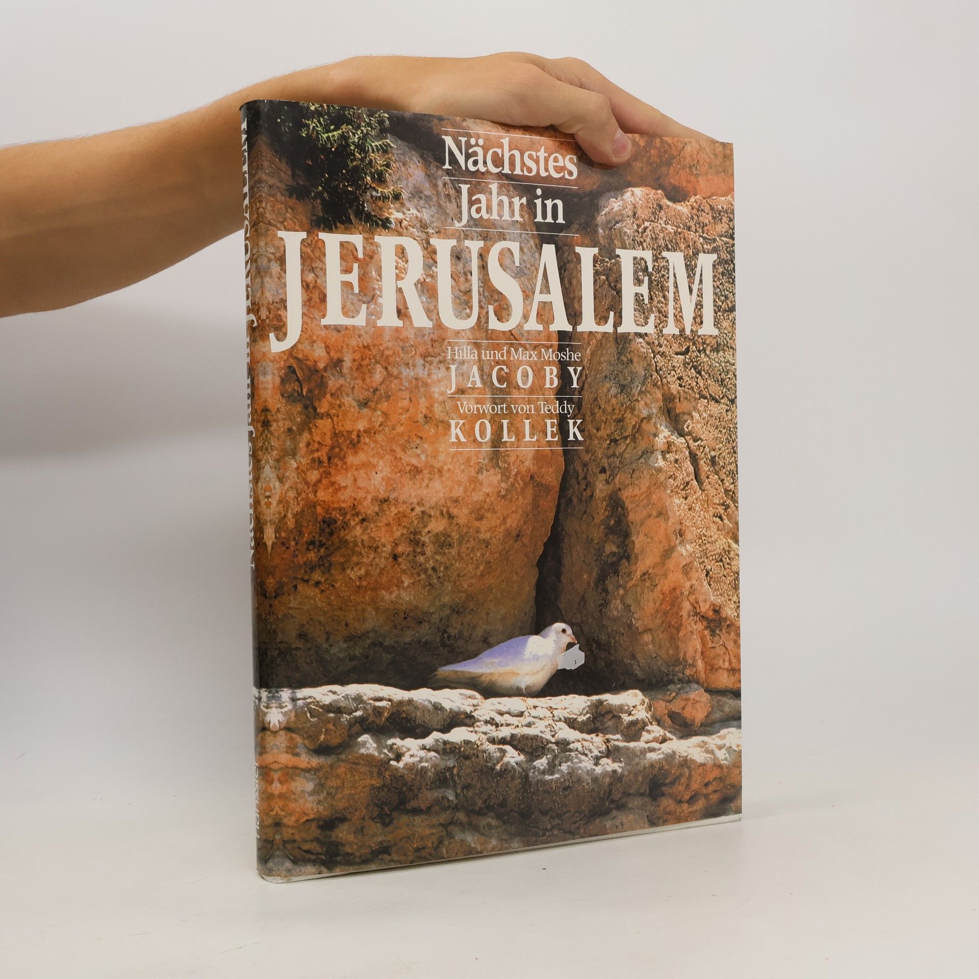 Nächstes Jahr in Jerusalem