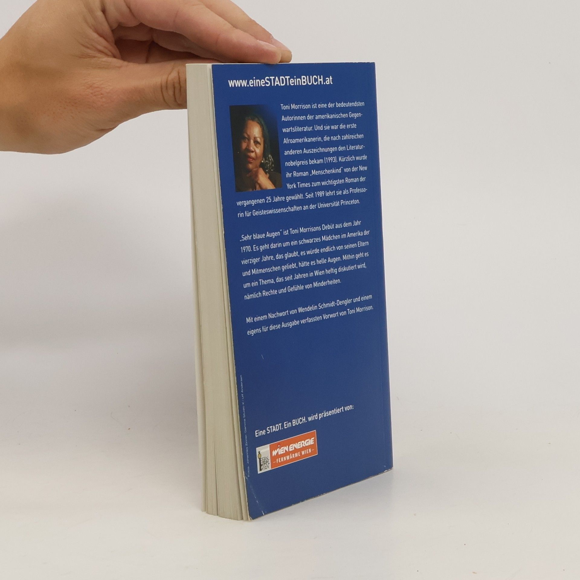 Toni Morrison Sehr blaue Augen