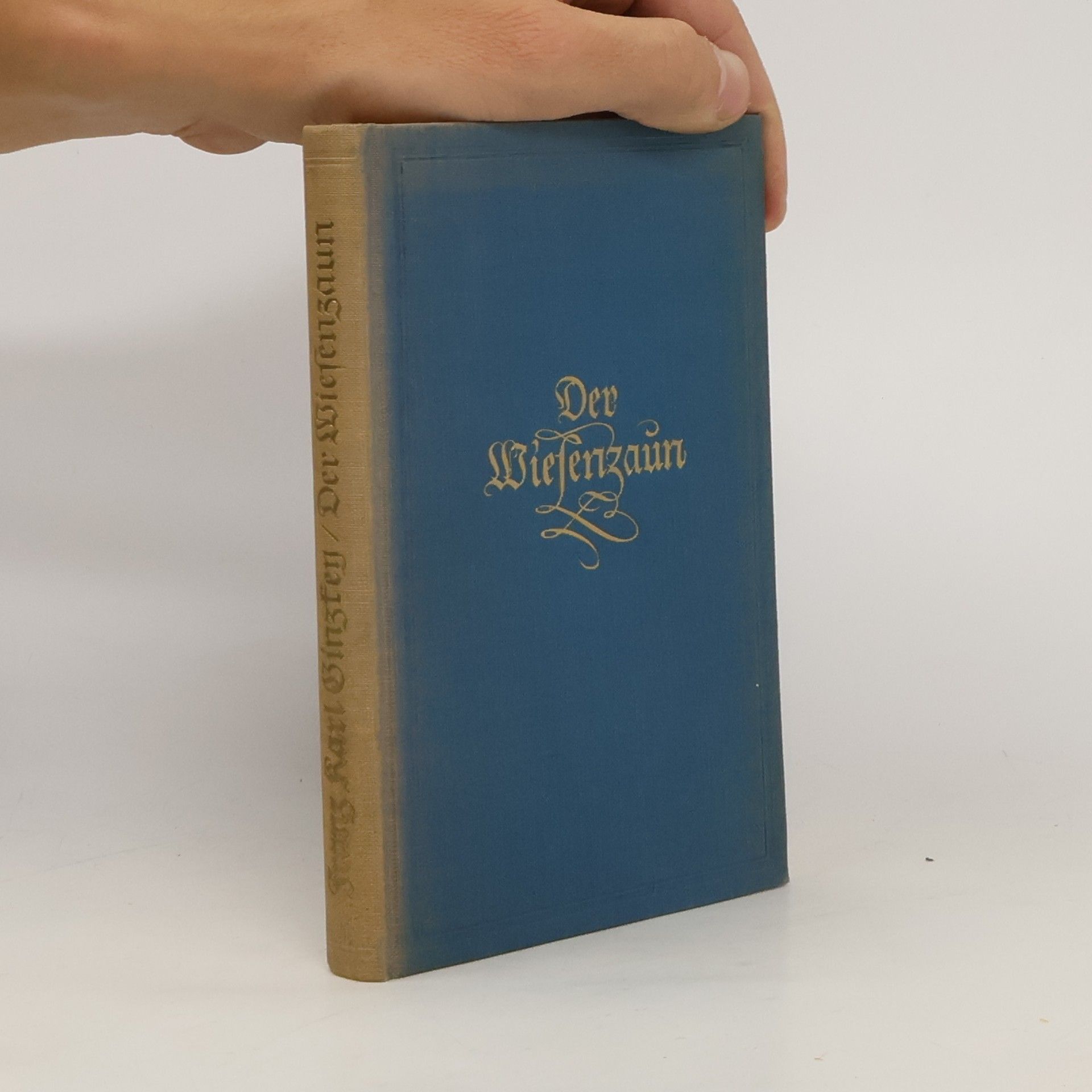 Franz K. Ginzkey Der Wiesenzaun