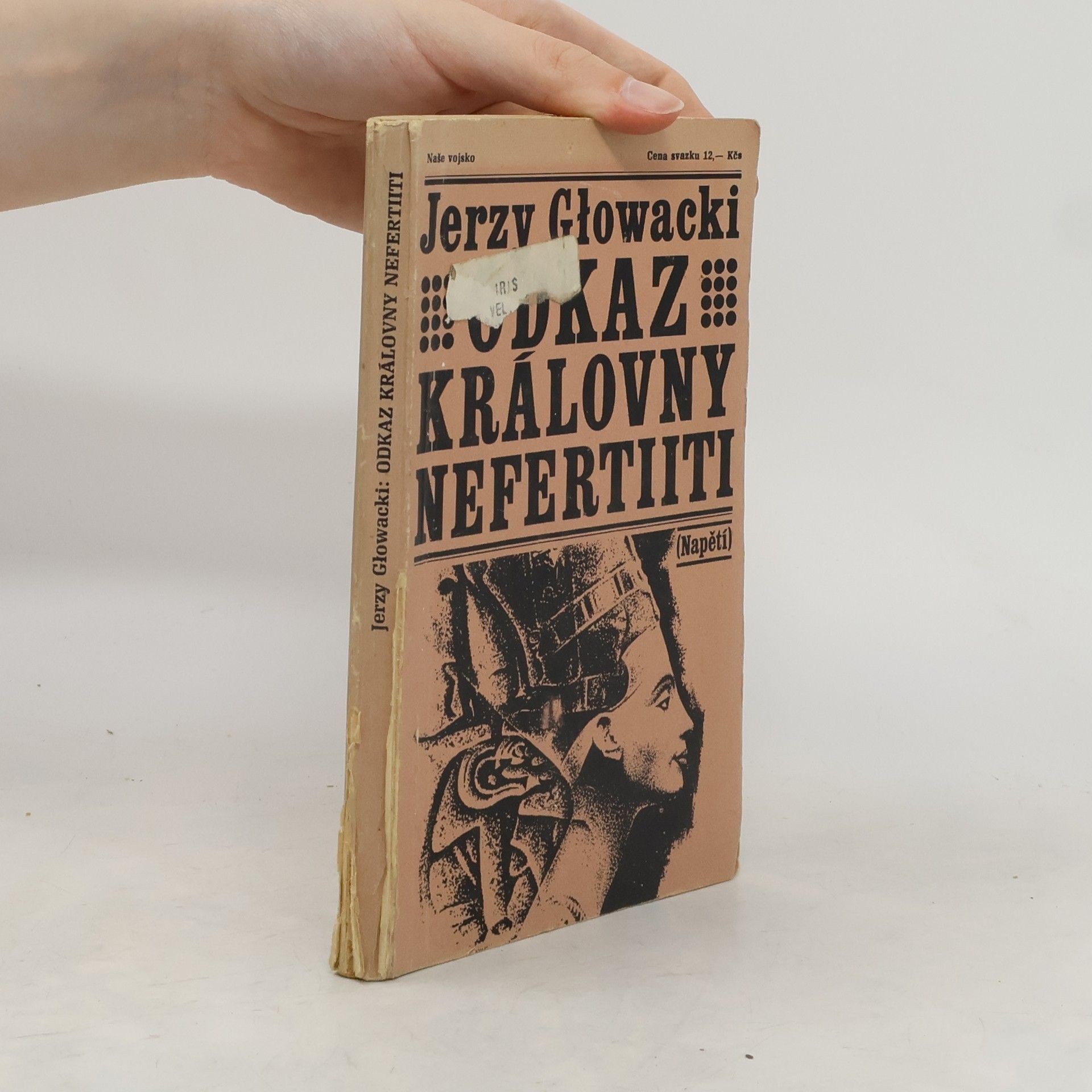 František Nechvátal Odkaz královny Nefertiiti