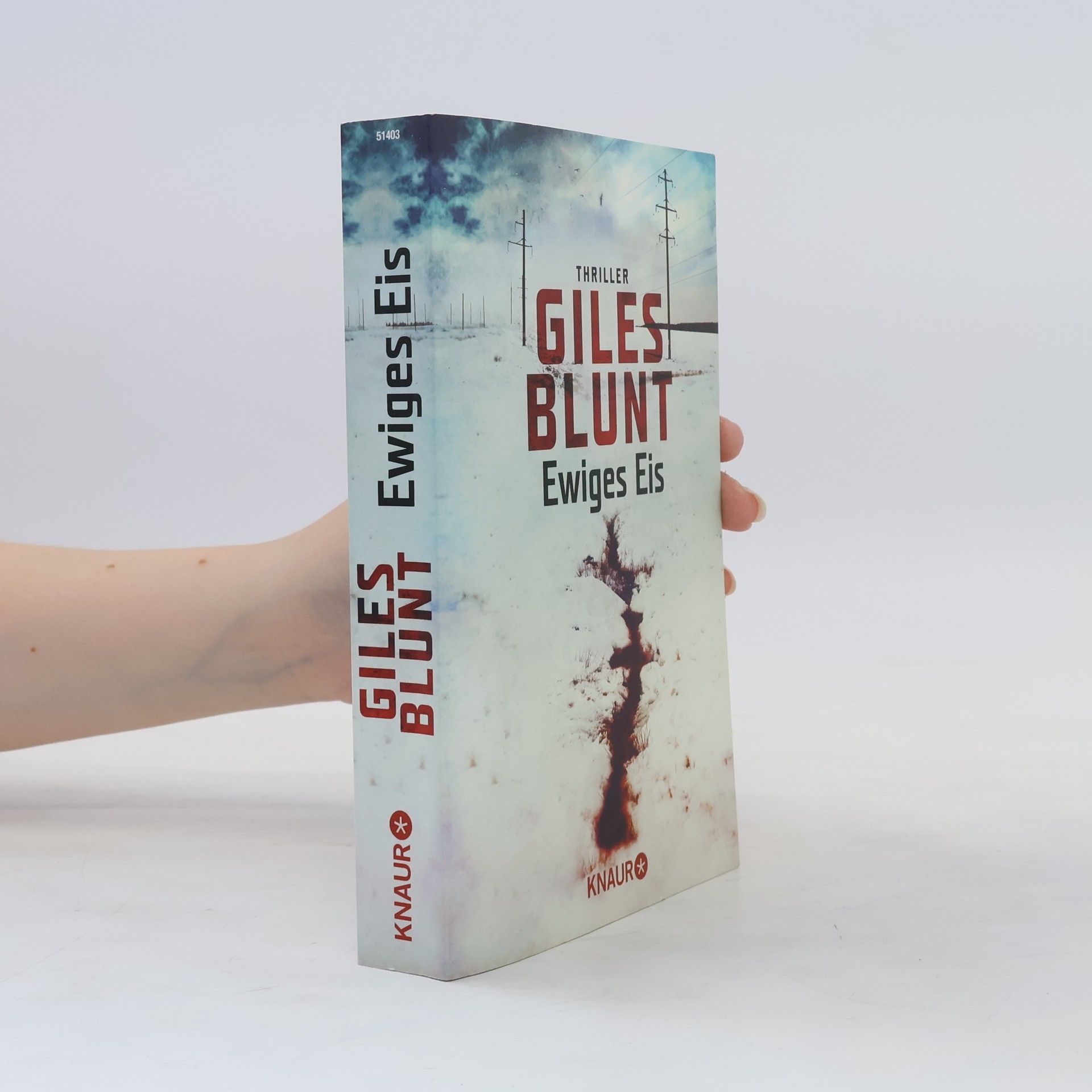 Giles Blunt Ewiges Eis