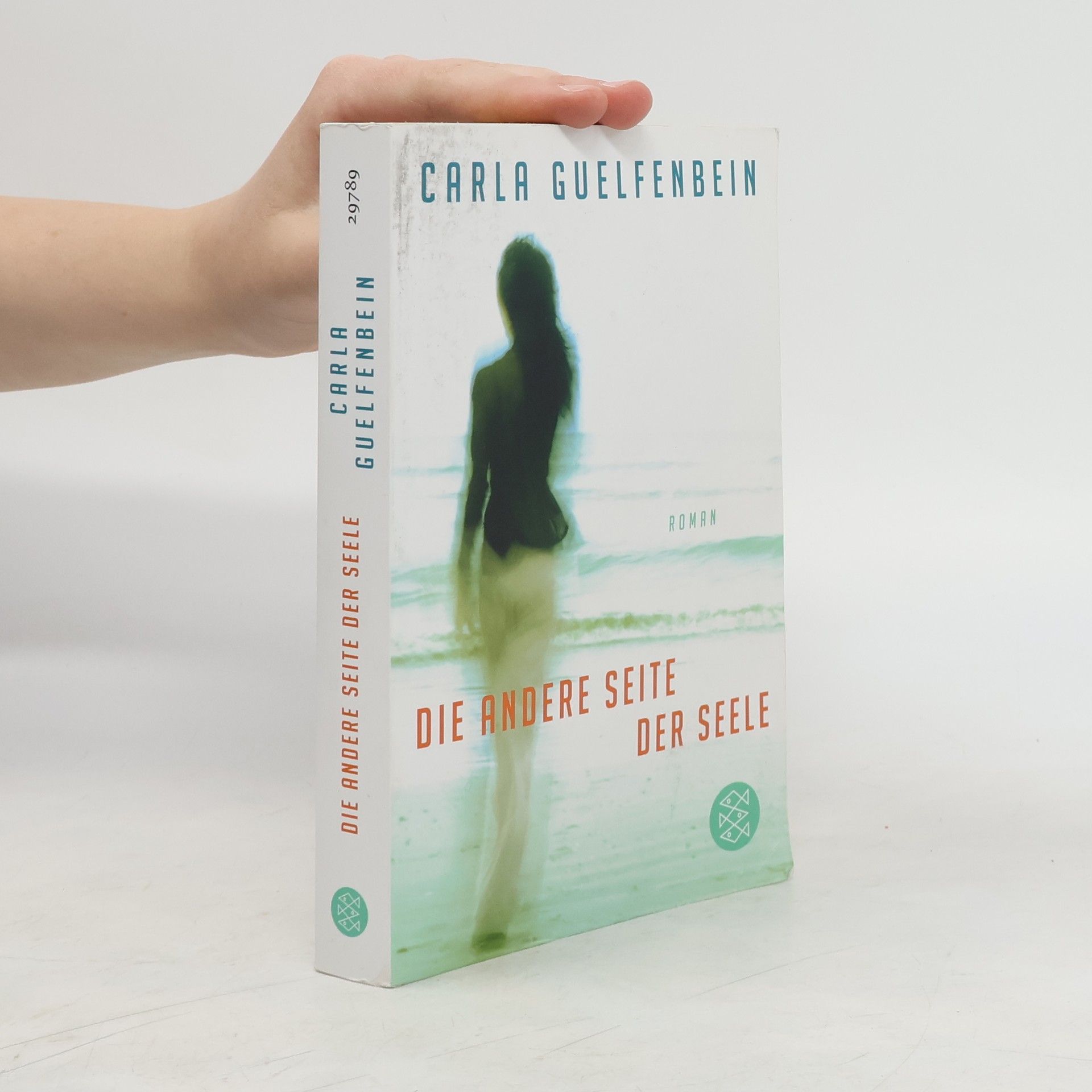 Carla Guelfenbein Die andere Seite der Seele
