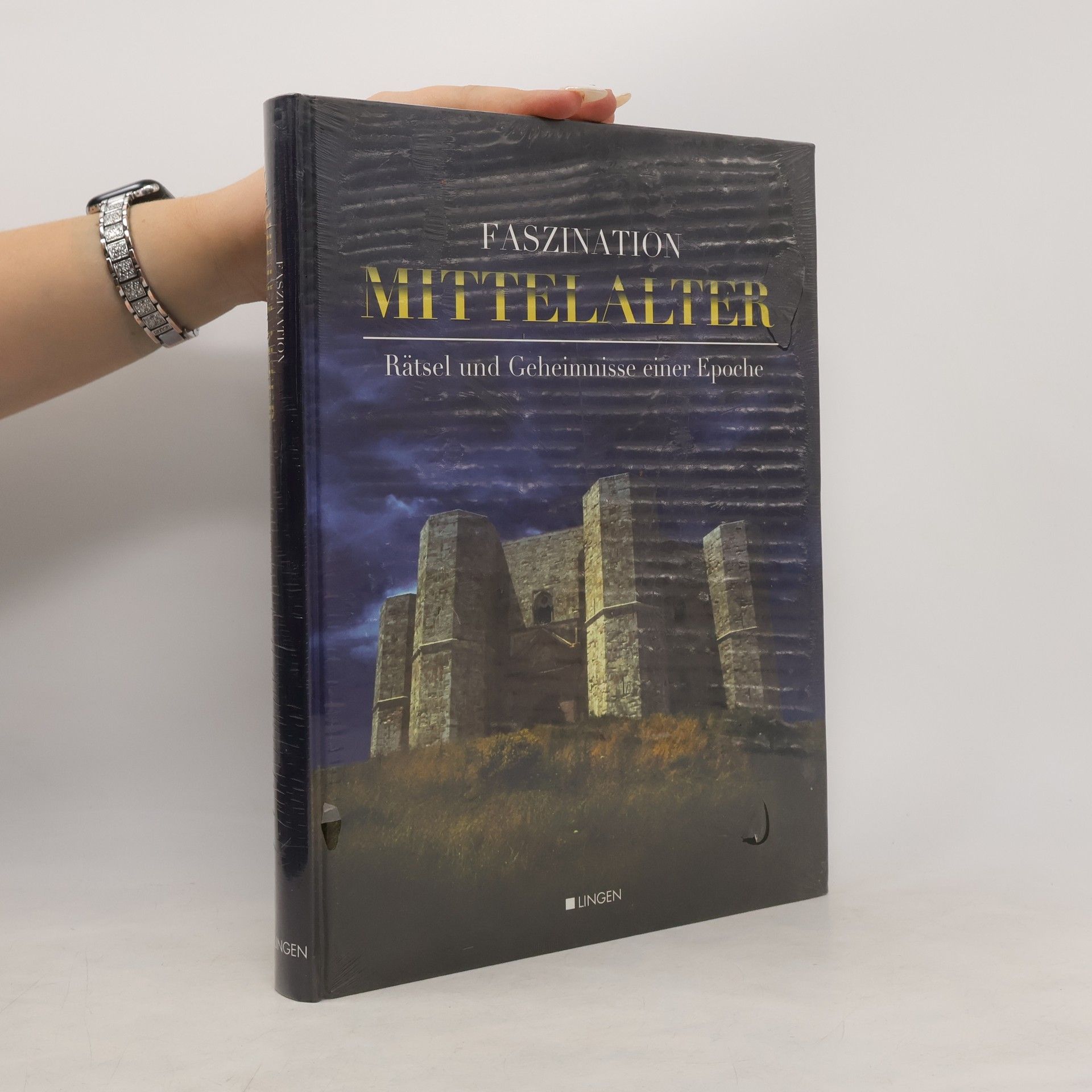 Autorenkollektiv Faszination Mittelalter. Rätsel und Geheimnisse einer Epoche