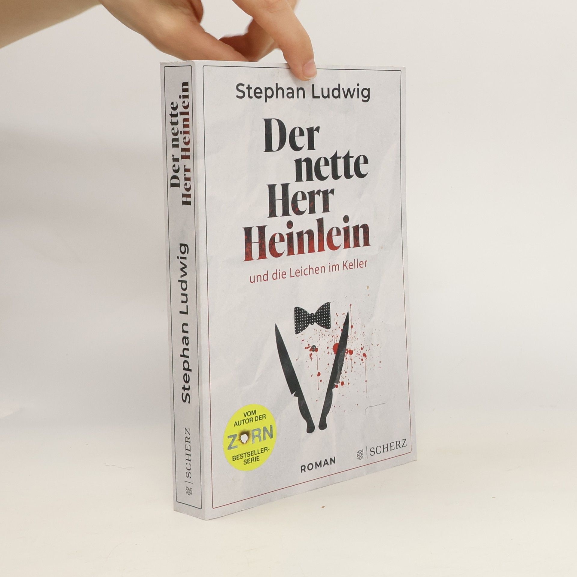 Stephan Ludwig Der nette Herr Heinlein und die Leichen im Keller