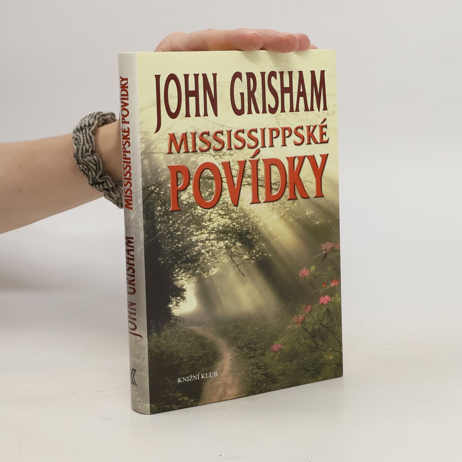 John Grisham Mississippské povídky