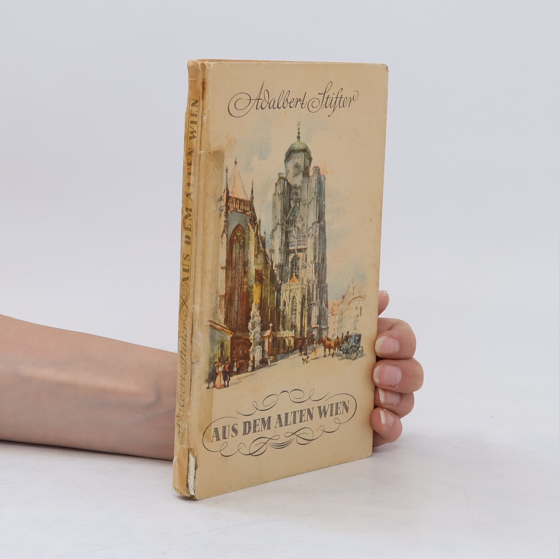 Adalbert Stifter Aus dem alten Wien