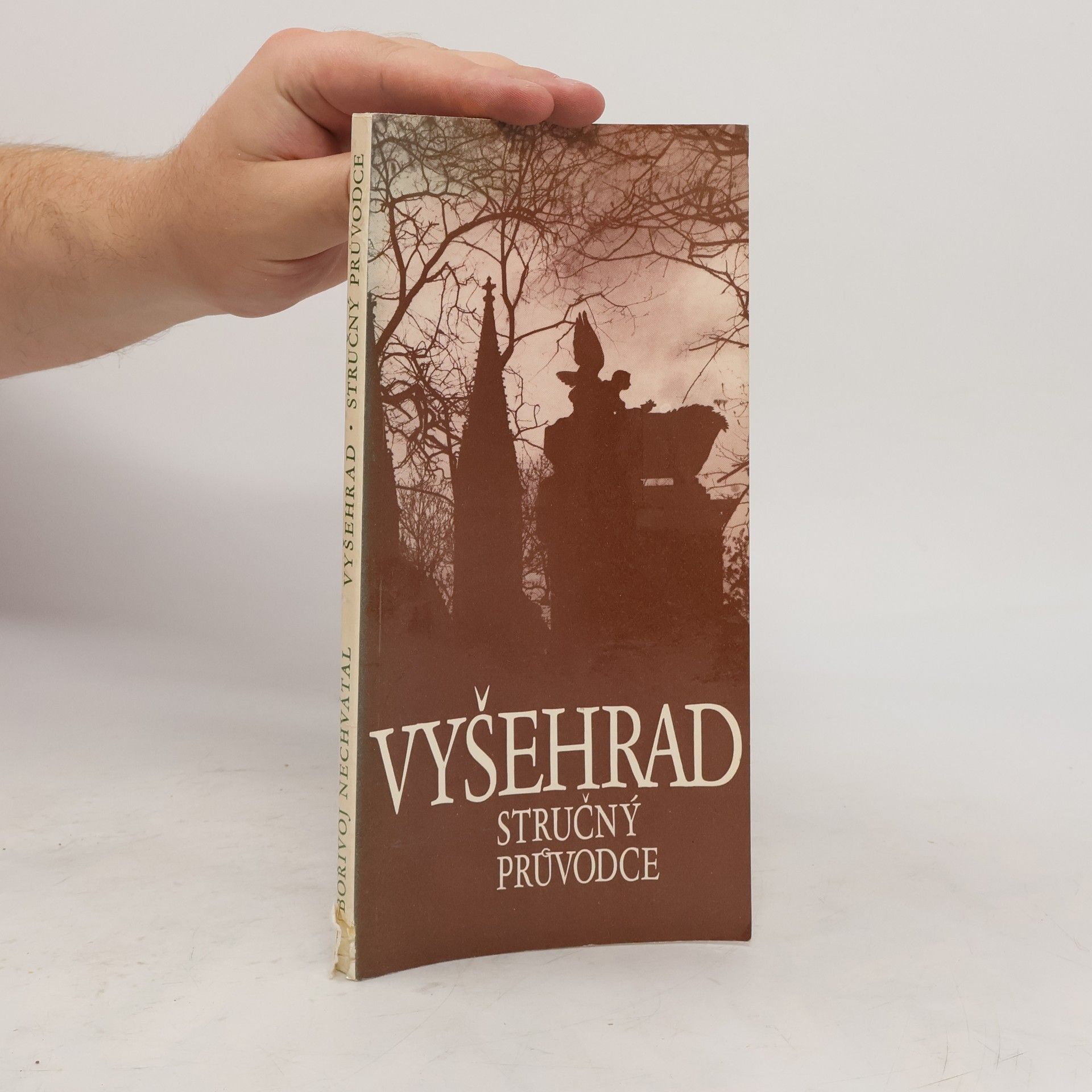 Bořivoj Nechvátal Vyšehrad. Stručný průvodce