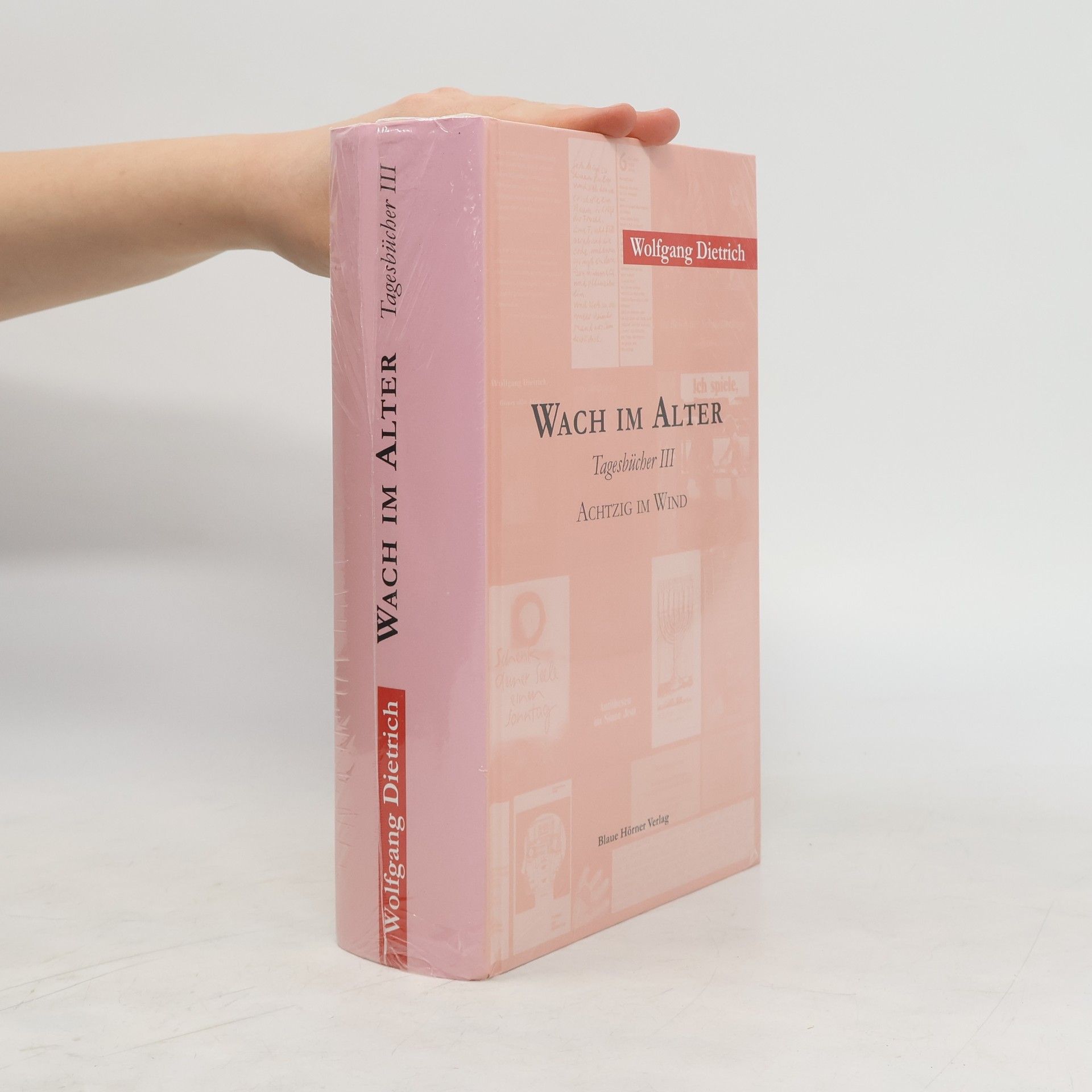 Wolfgang Dietrich Wach im Alter. Tagesbücher III. Achtzig im Wind