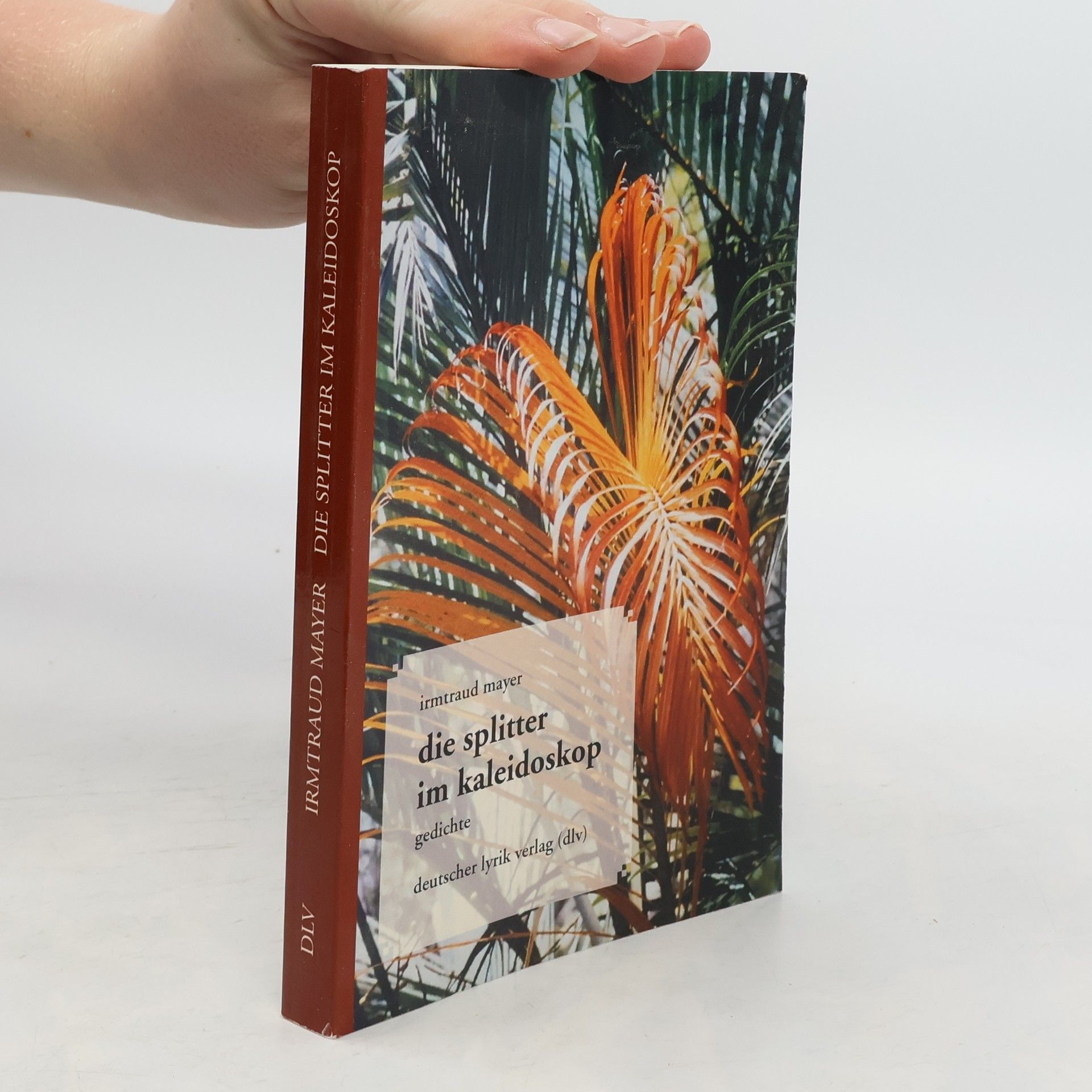 Irmtraud Mayer Die Splitter im Kaleidoskop