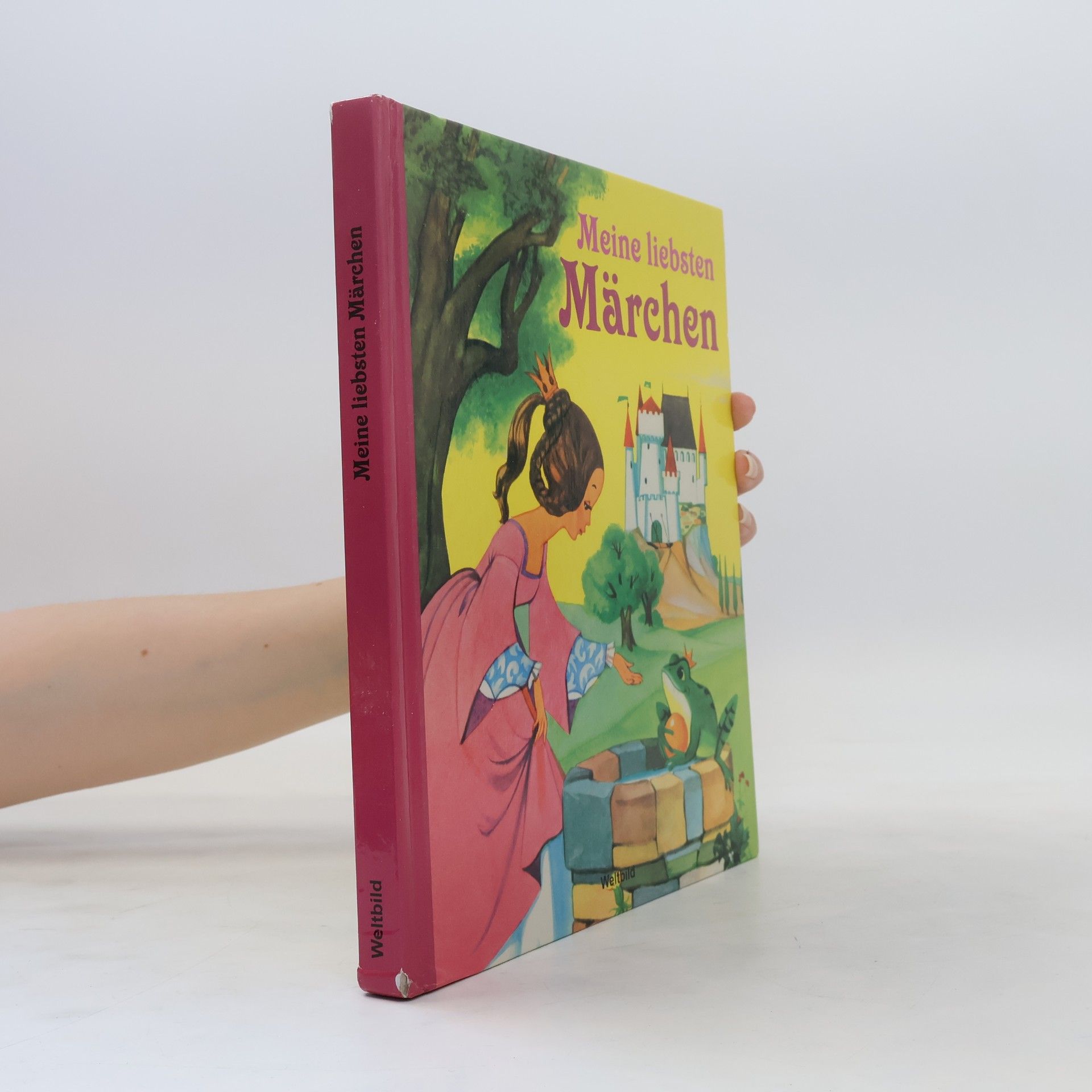 Auteurscollectief Meine liebsten Märchen