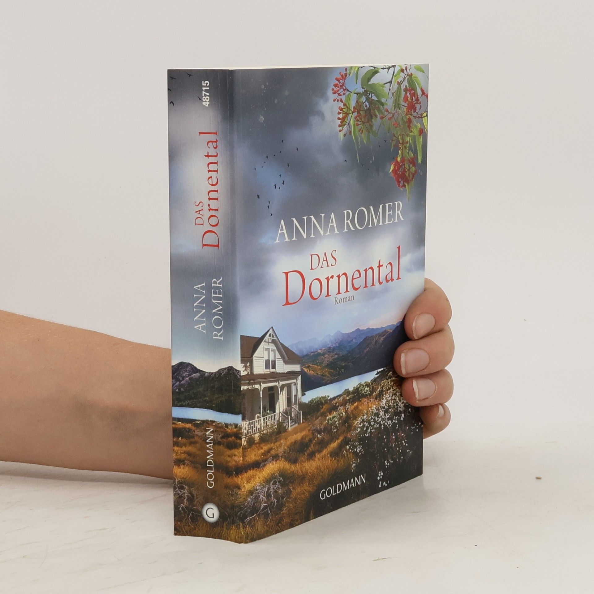 Roberto de Hollanda Das Dornental : roman