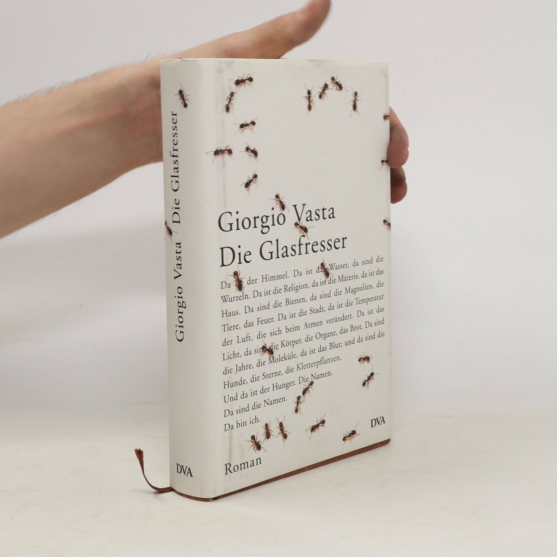 Giorgio Vasta Die Glasfresser