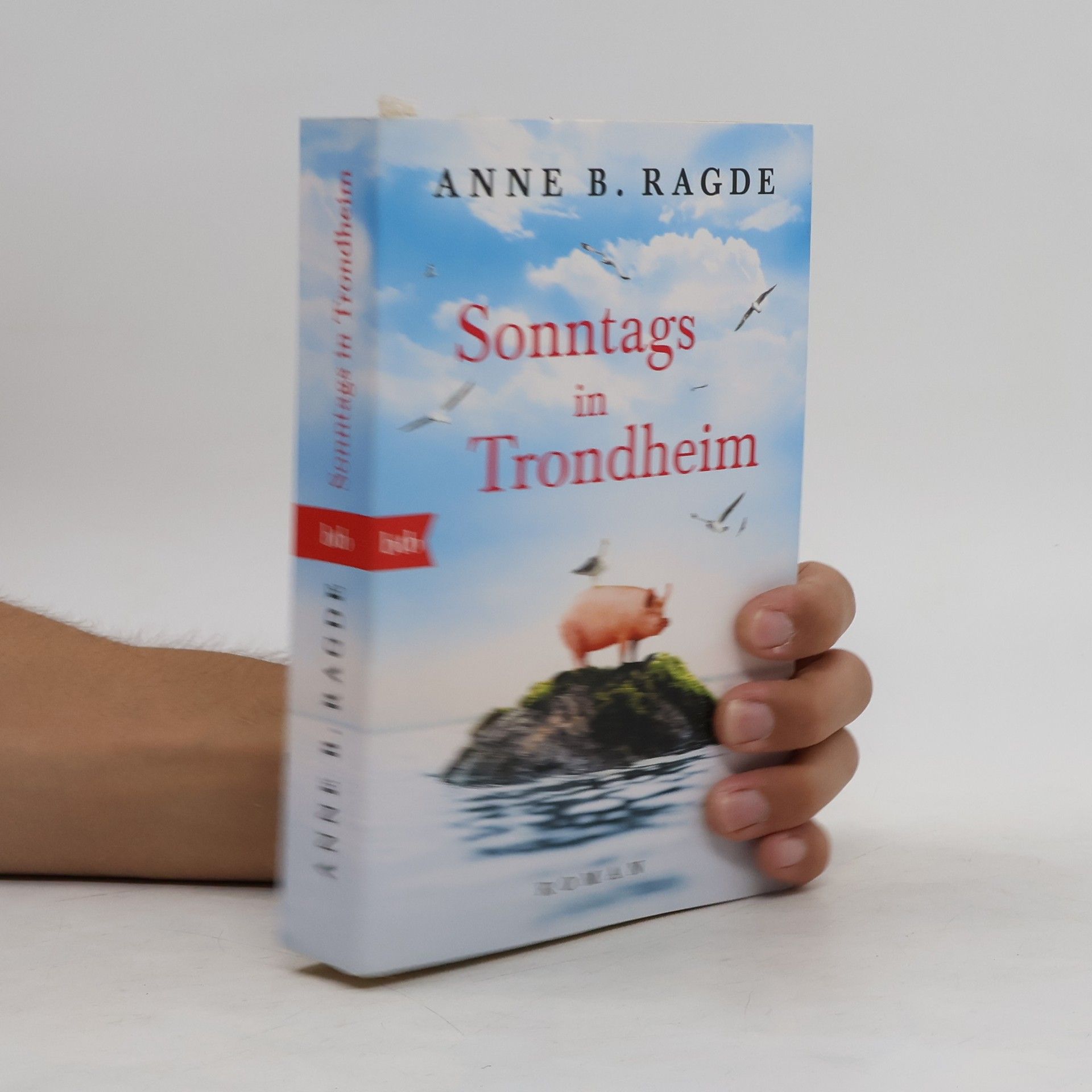Anne B. Ragde Sonntags in Trondheim
