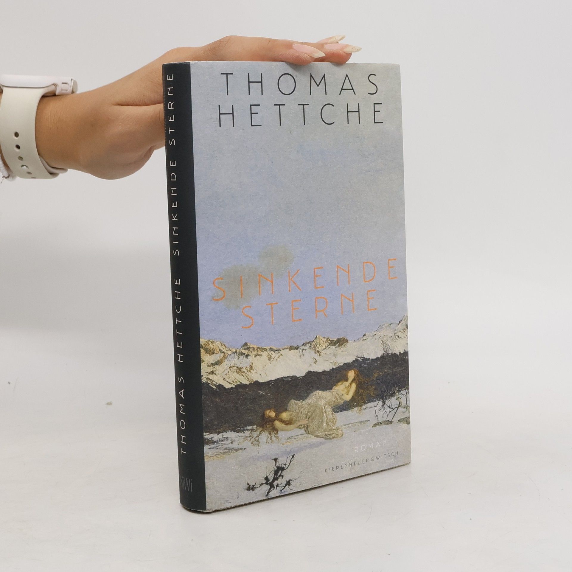 Thomas Hettche Sinkende Sterne