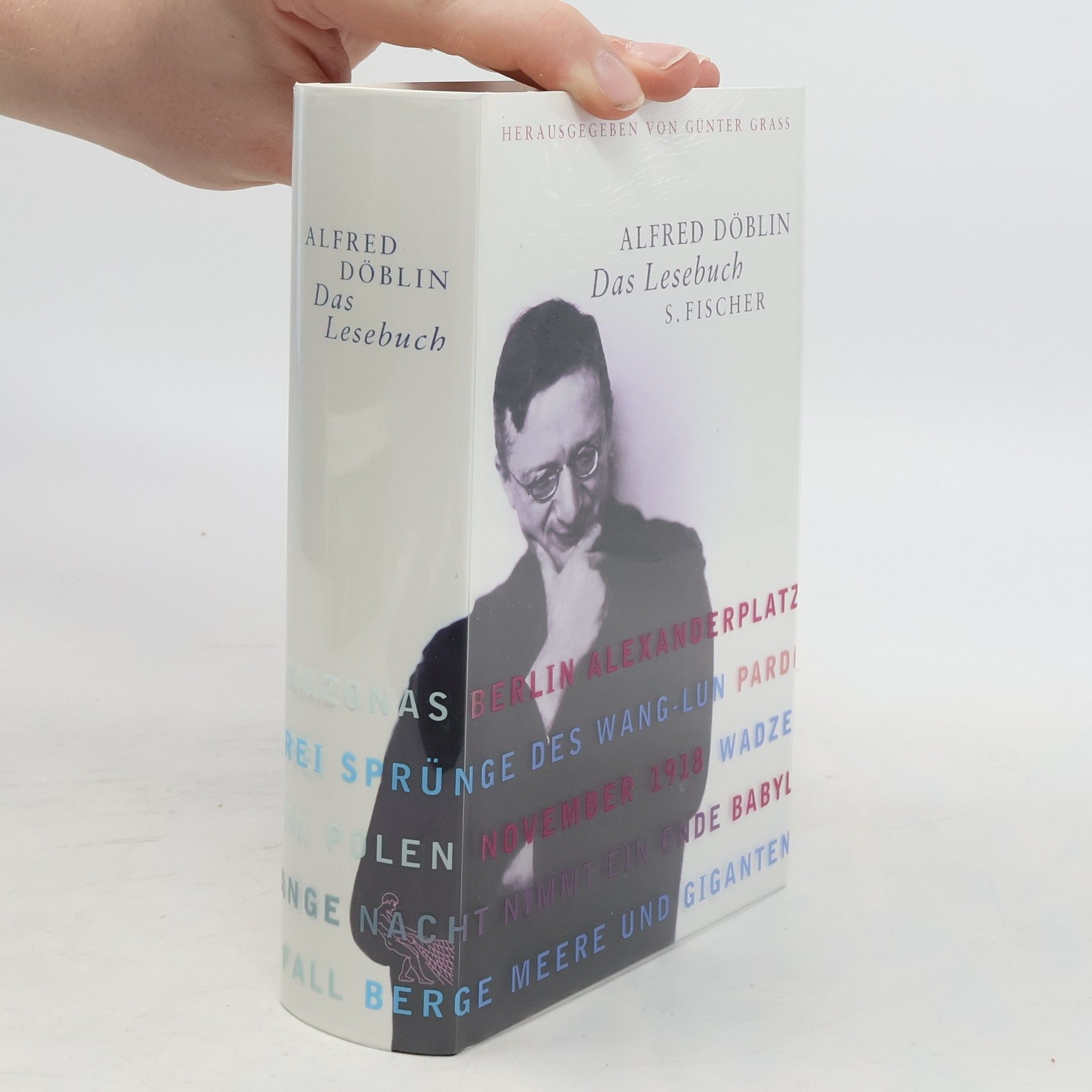 Alfred Döblin Das Lesebuch
