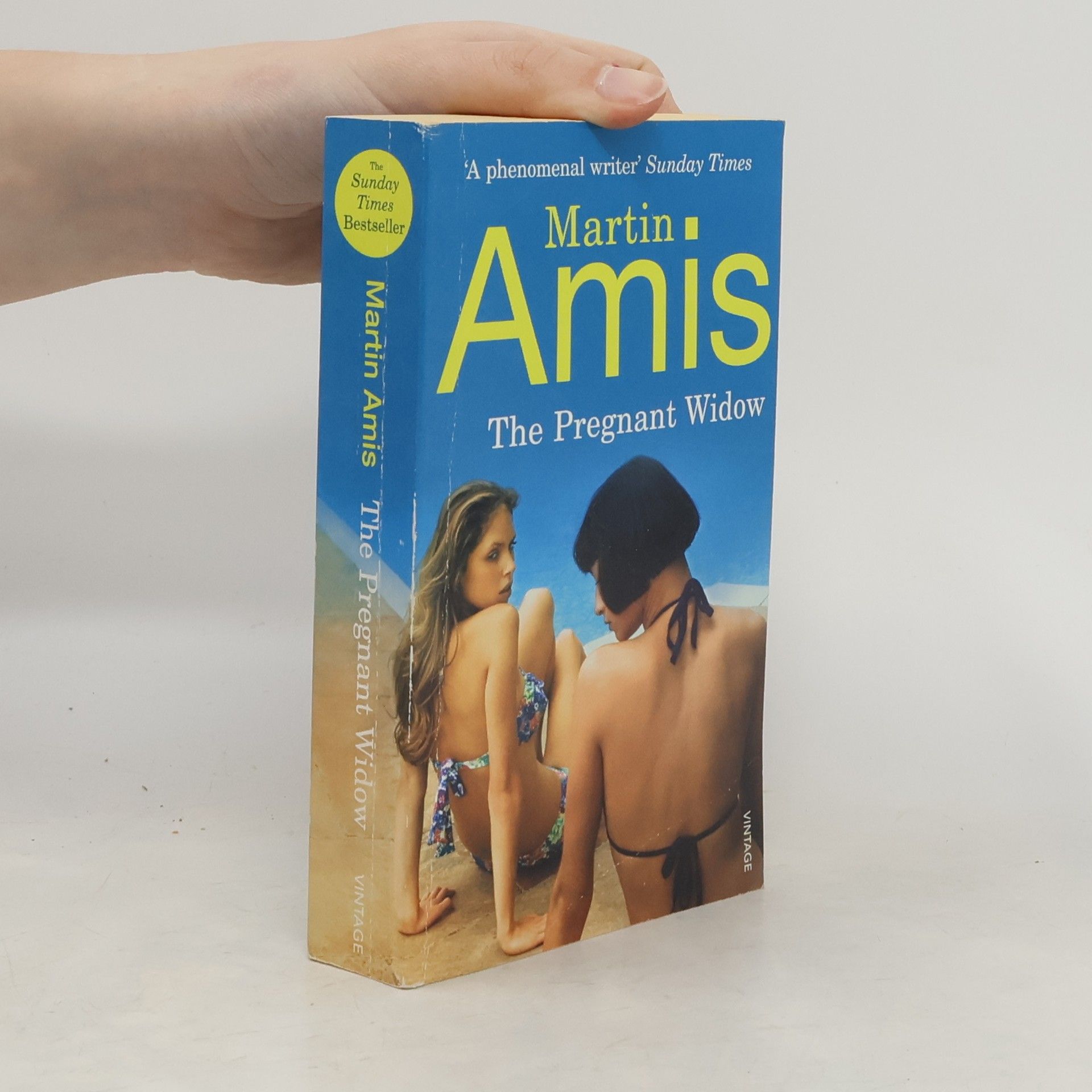 Martin Amis The Pregnant Widow