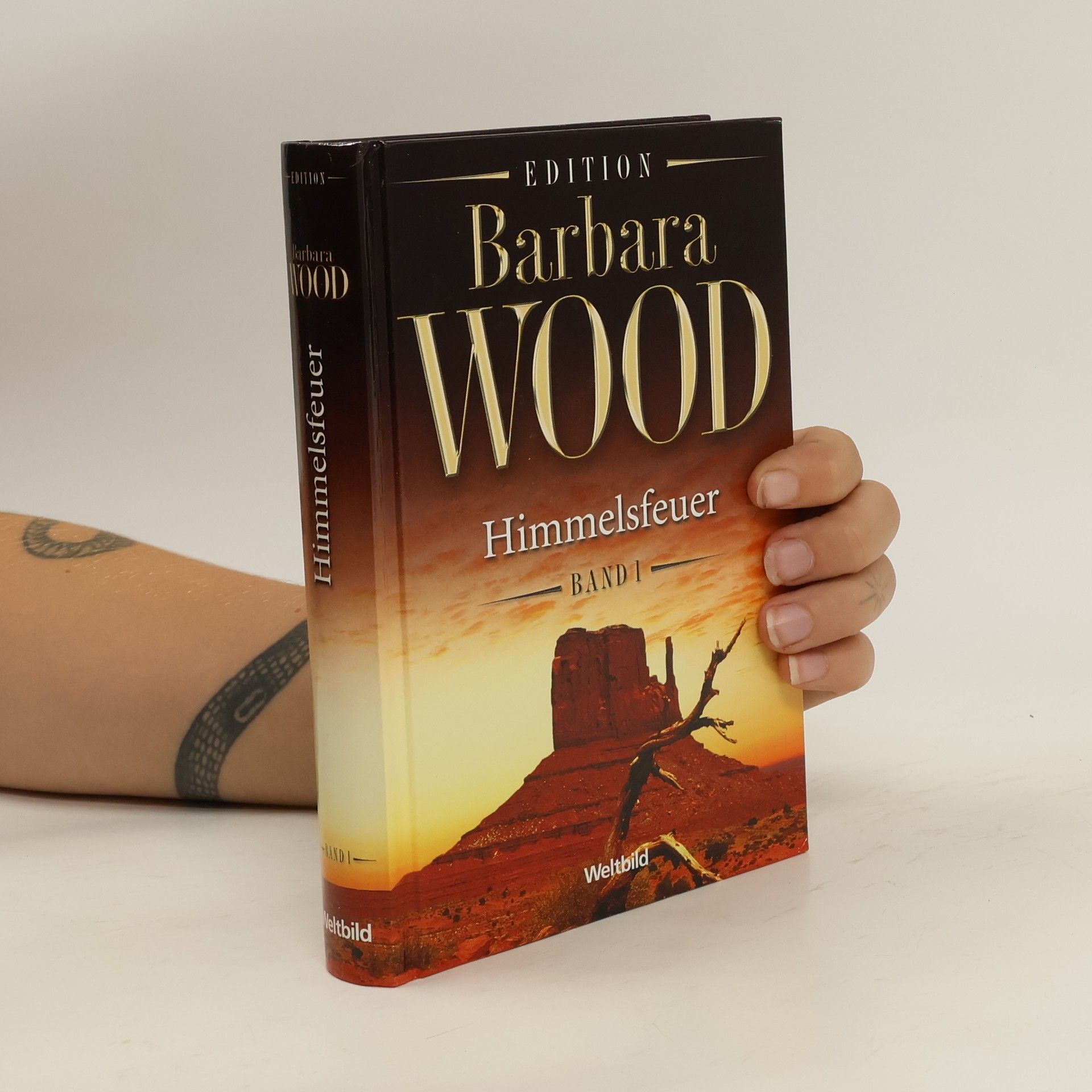 Barbara Wood Himmelsfeuer. Band 1