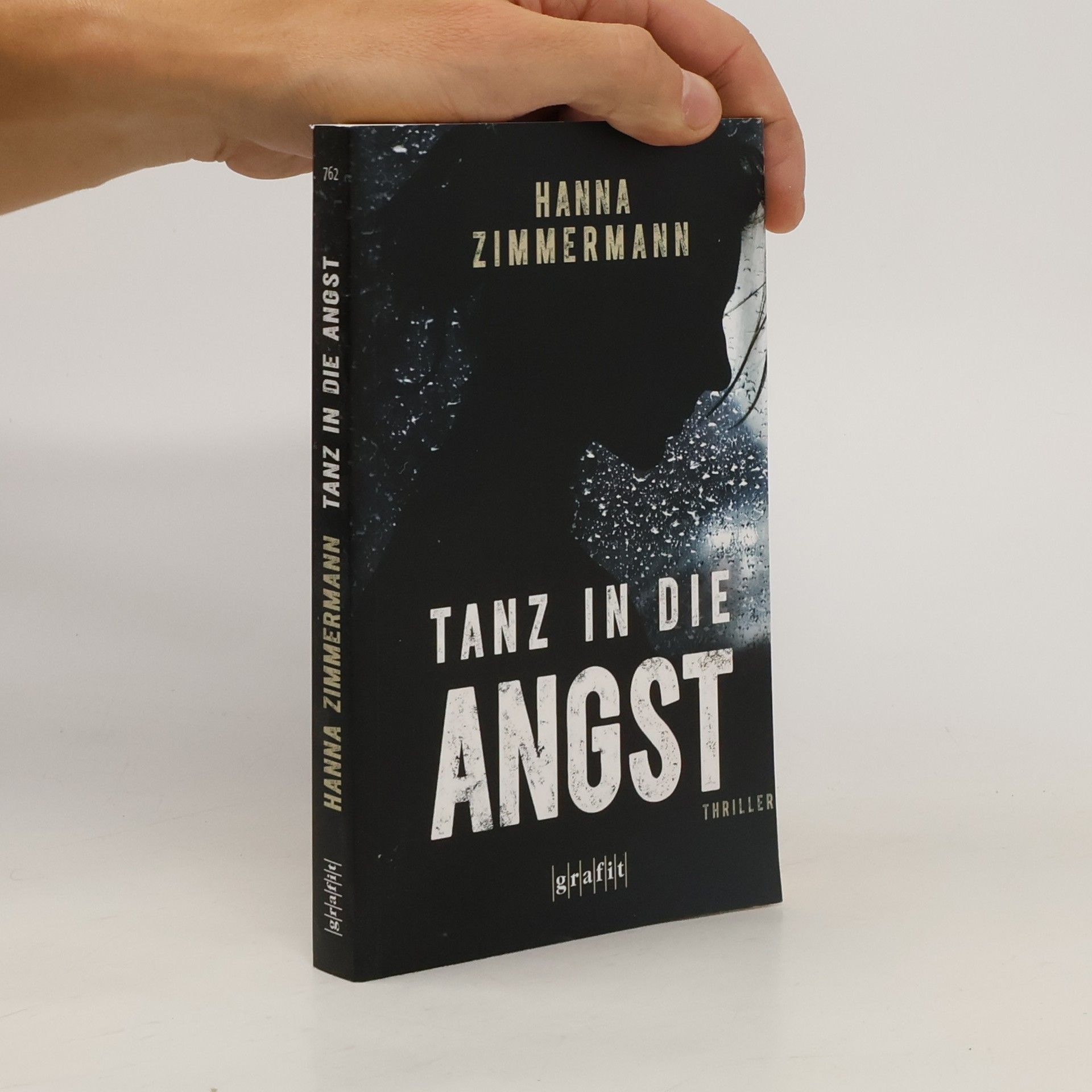 Hanna Zimmermann Tanz in die Angst. Thriller