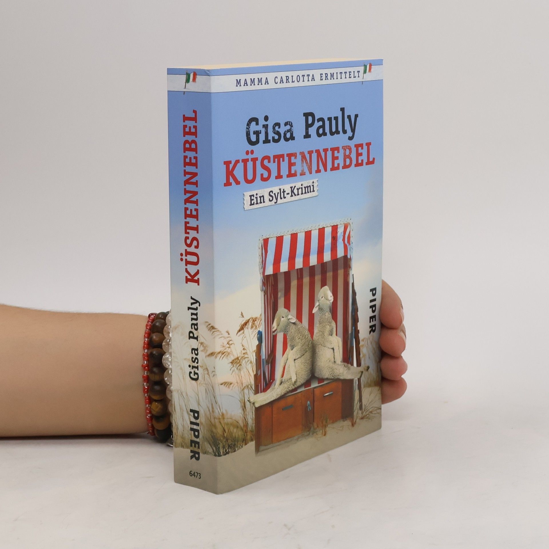 Gisa Pauly Küstennebel