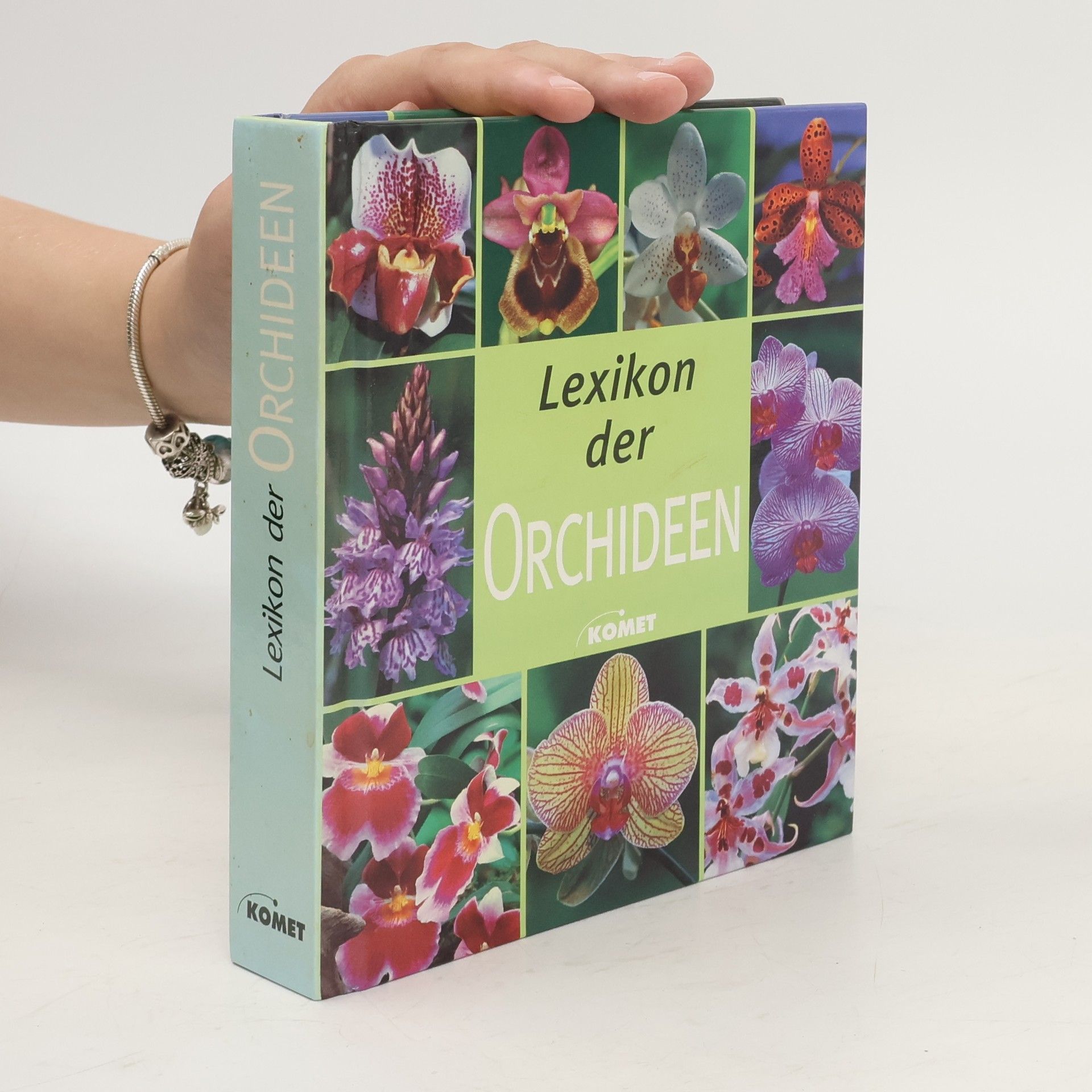 Autorenkollektiv Lexikon der Orchideen