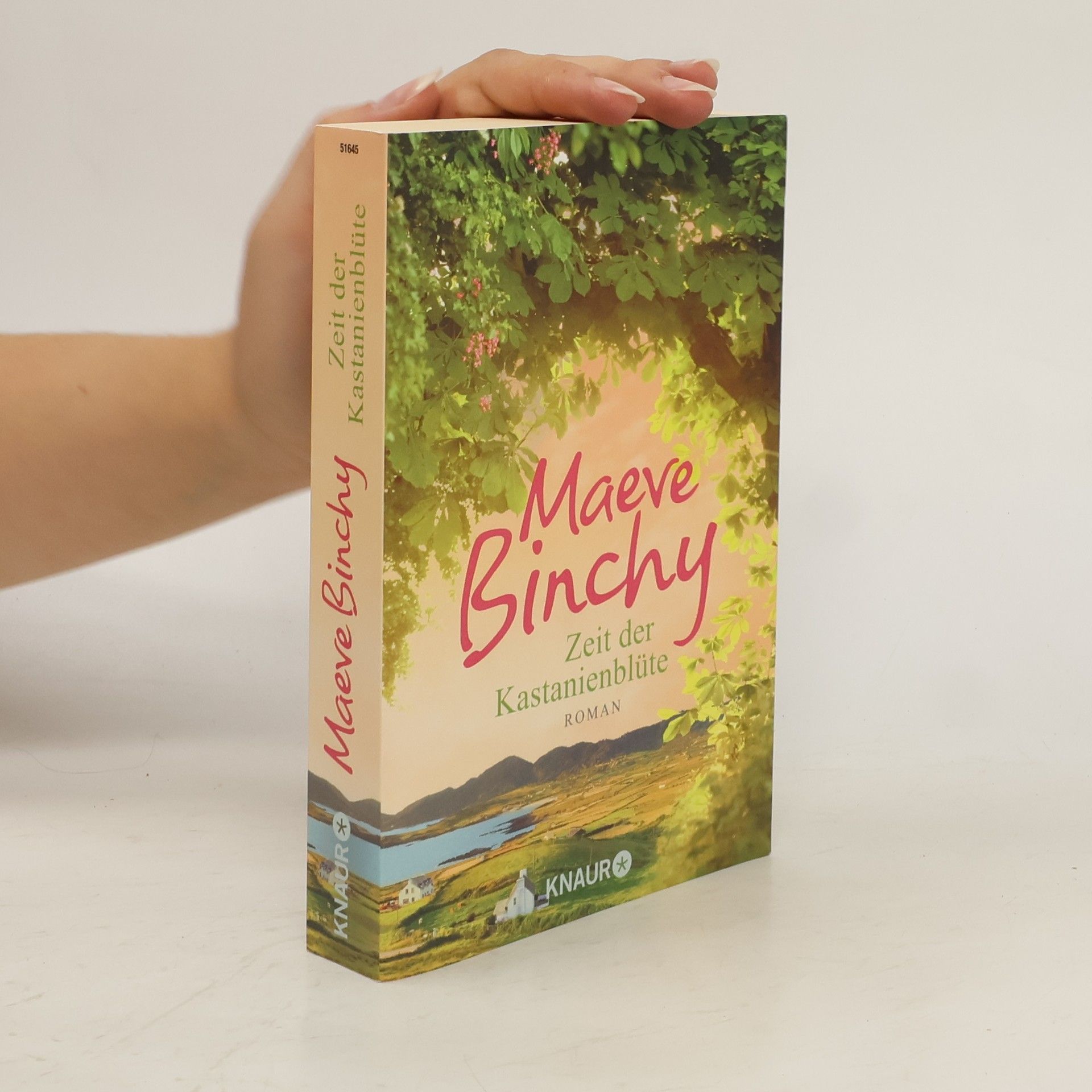 Maeve Binchy Zeit der Kastanienblüte
