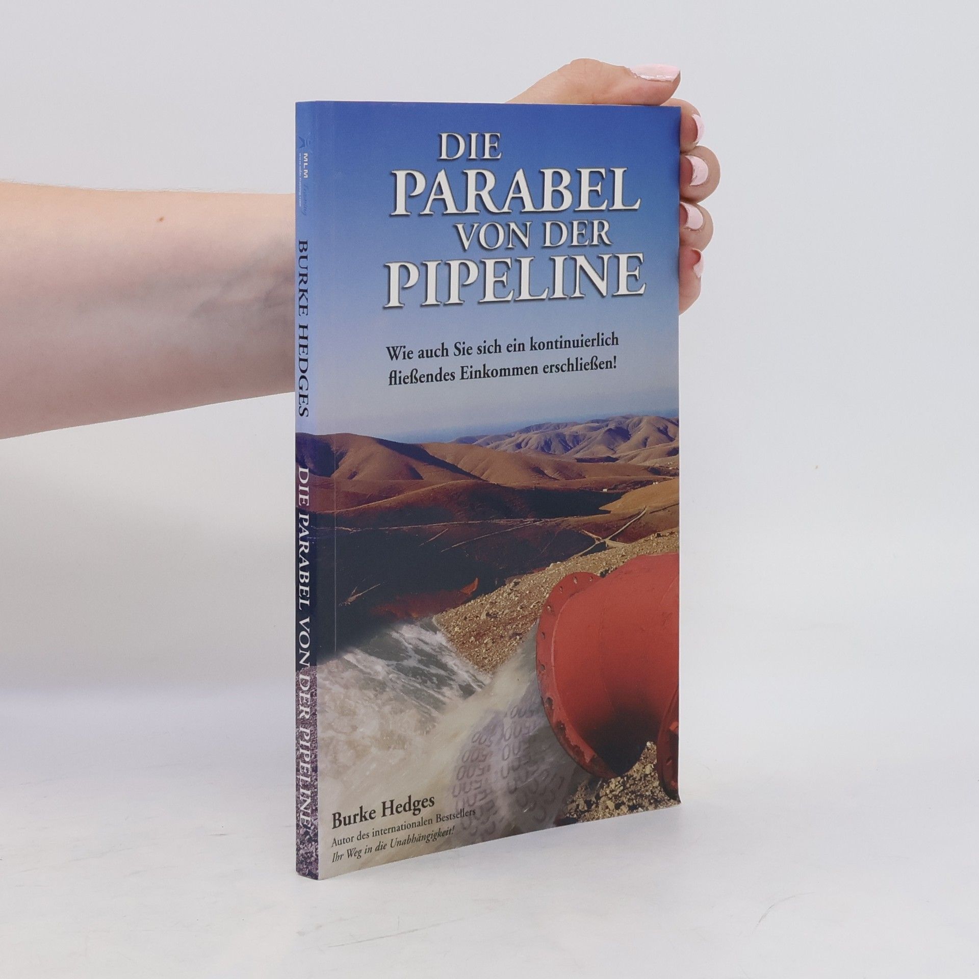 Burke Hedges Die Parabel von der Pipeline