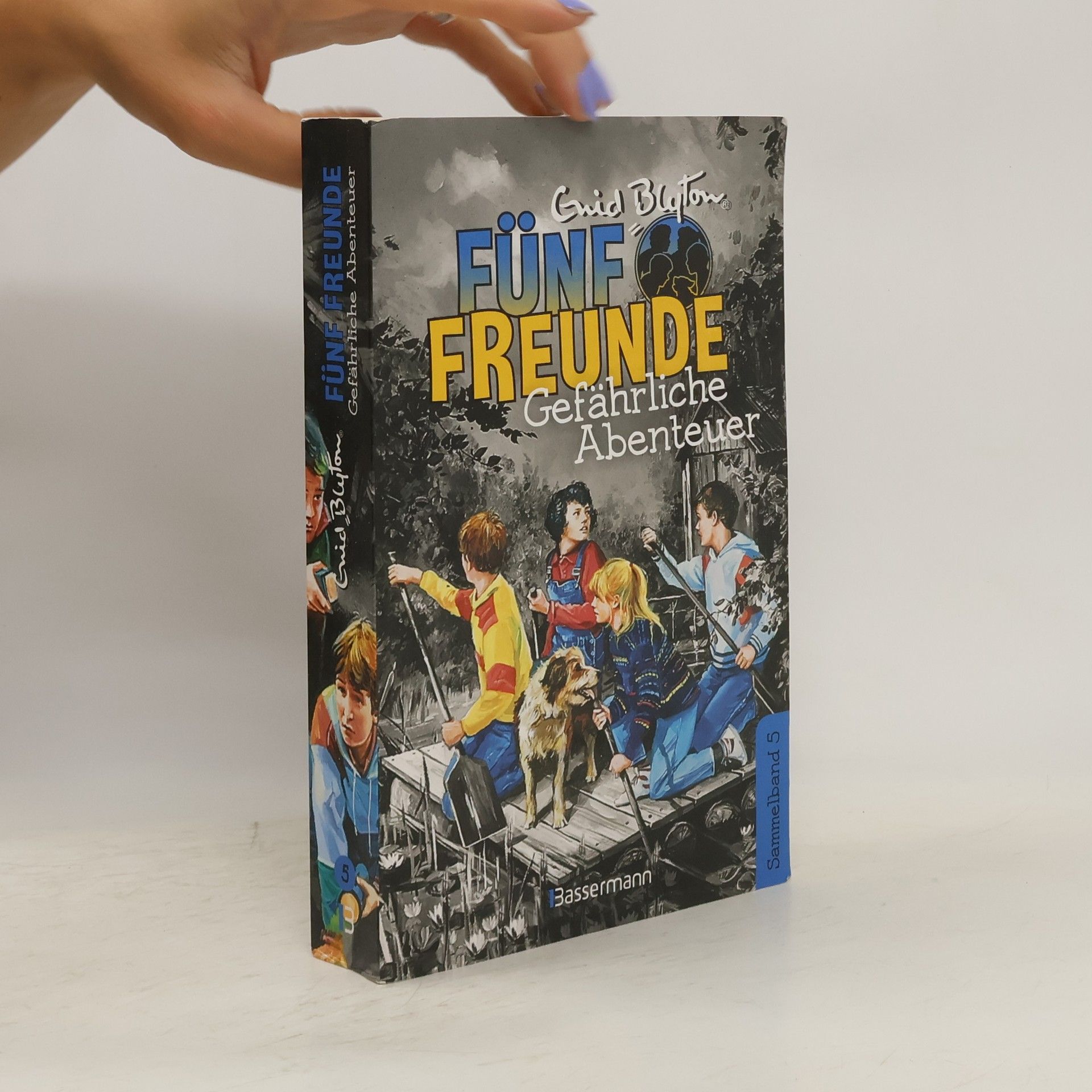 Enid Blyton Fünf Freunde. Gefährliche Abenteuer