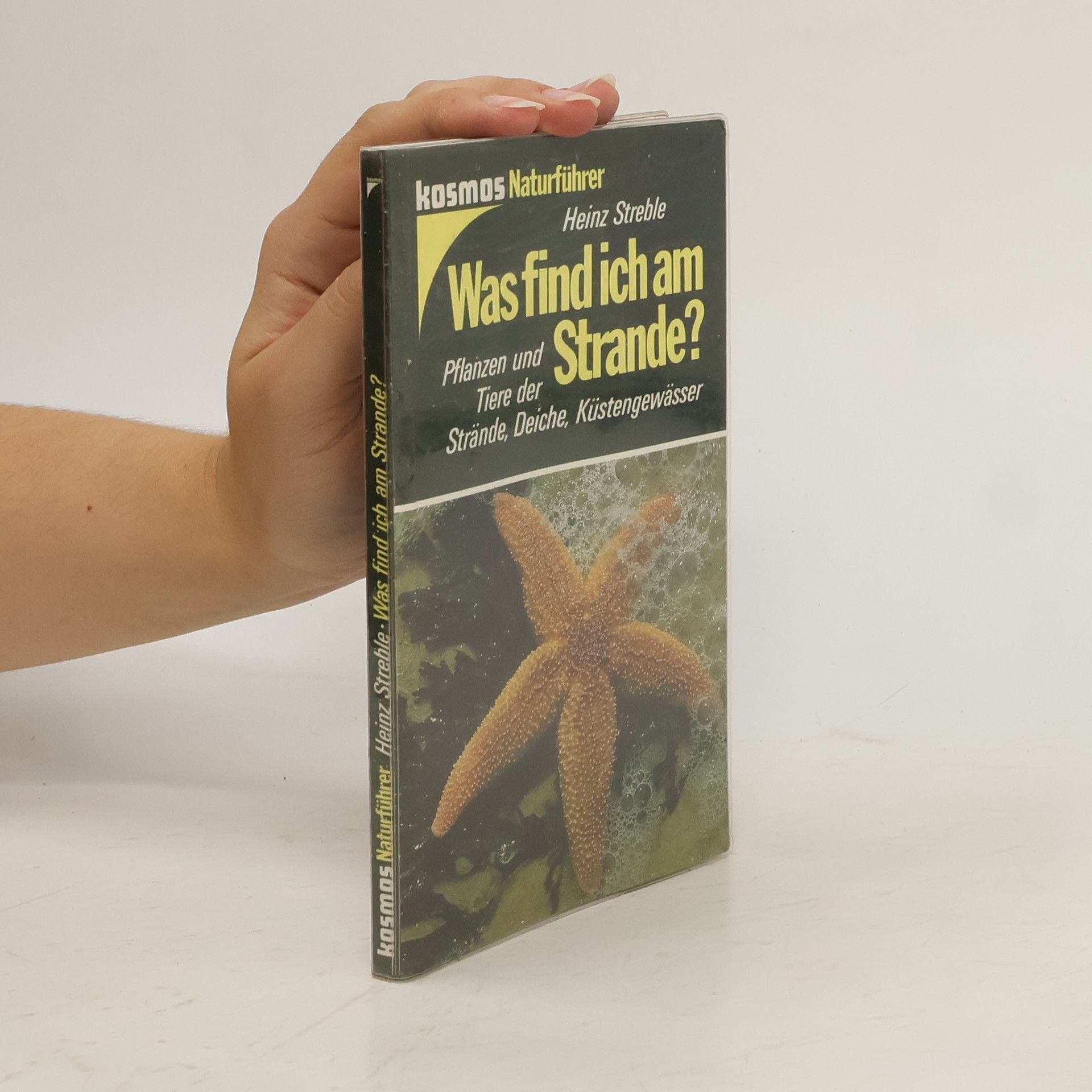 Heinz Streble Was find' ich am Strande?
