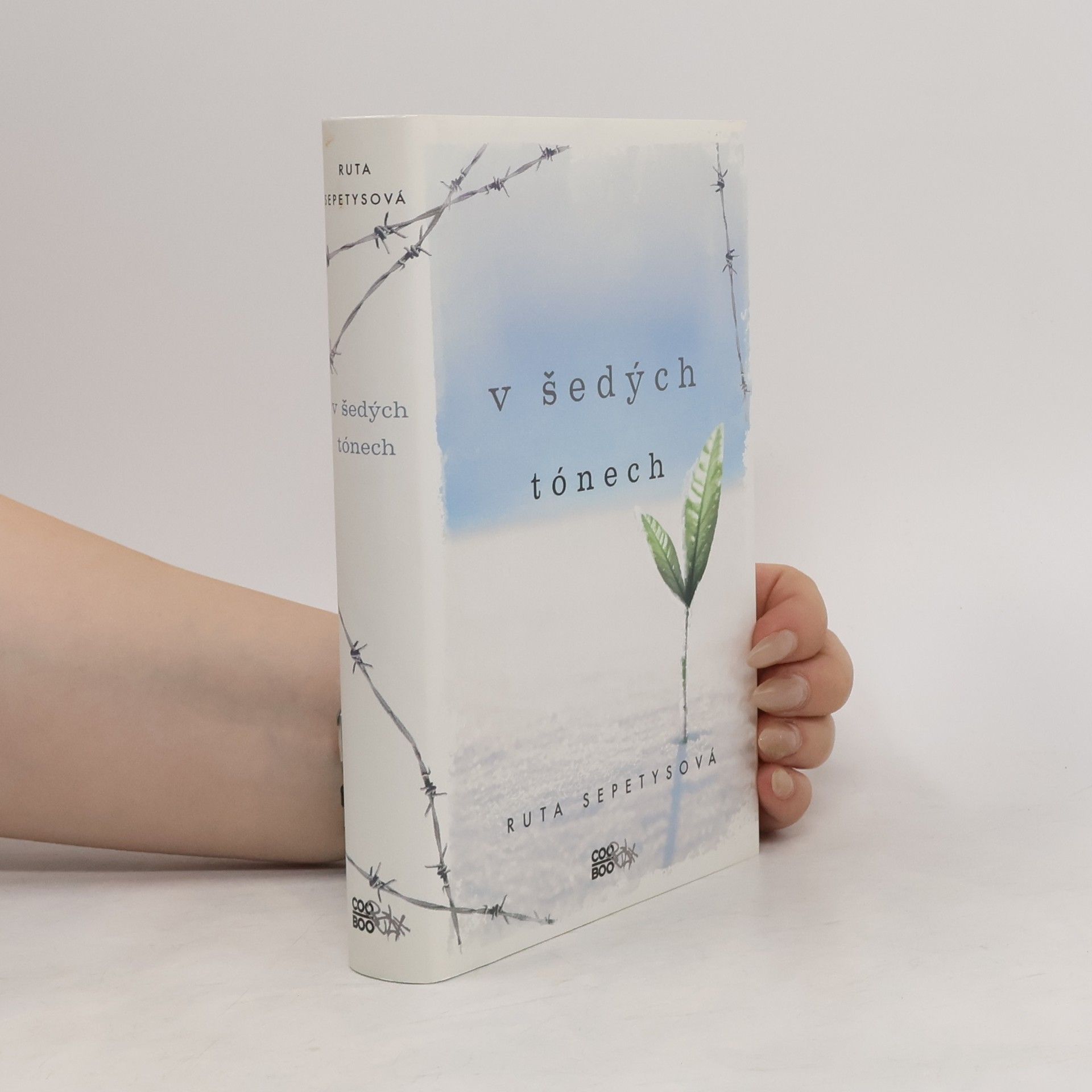 Ruta Sepetysová V šedých tónech